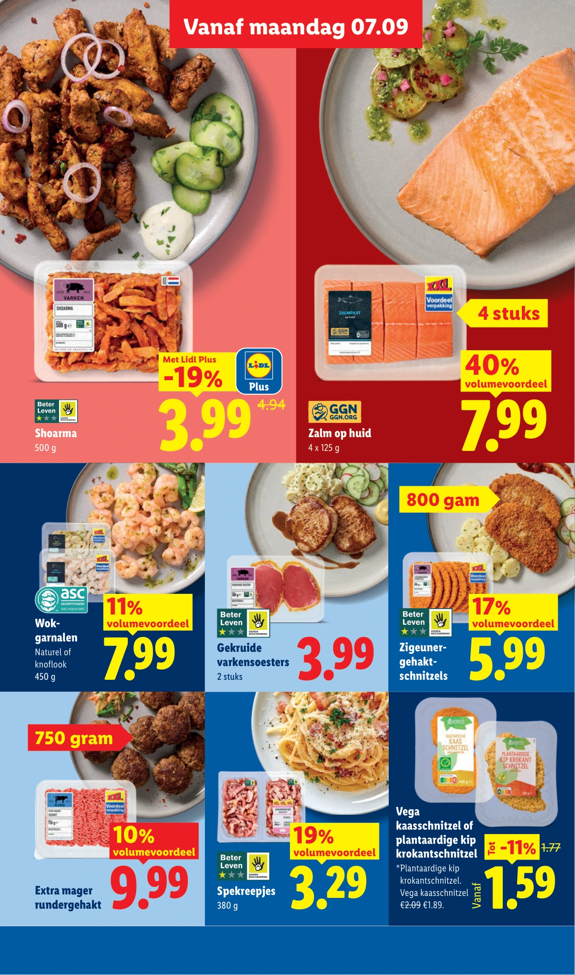 Flyer page 12