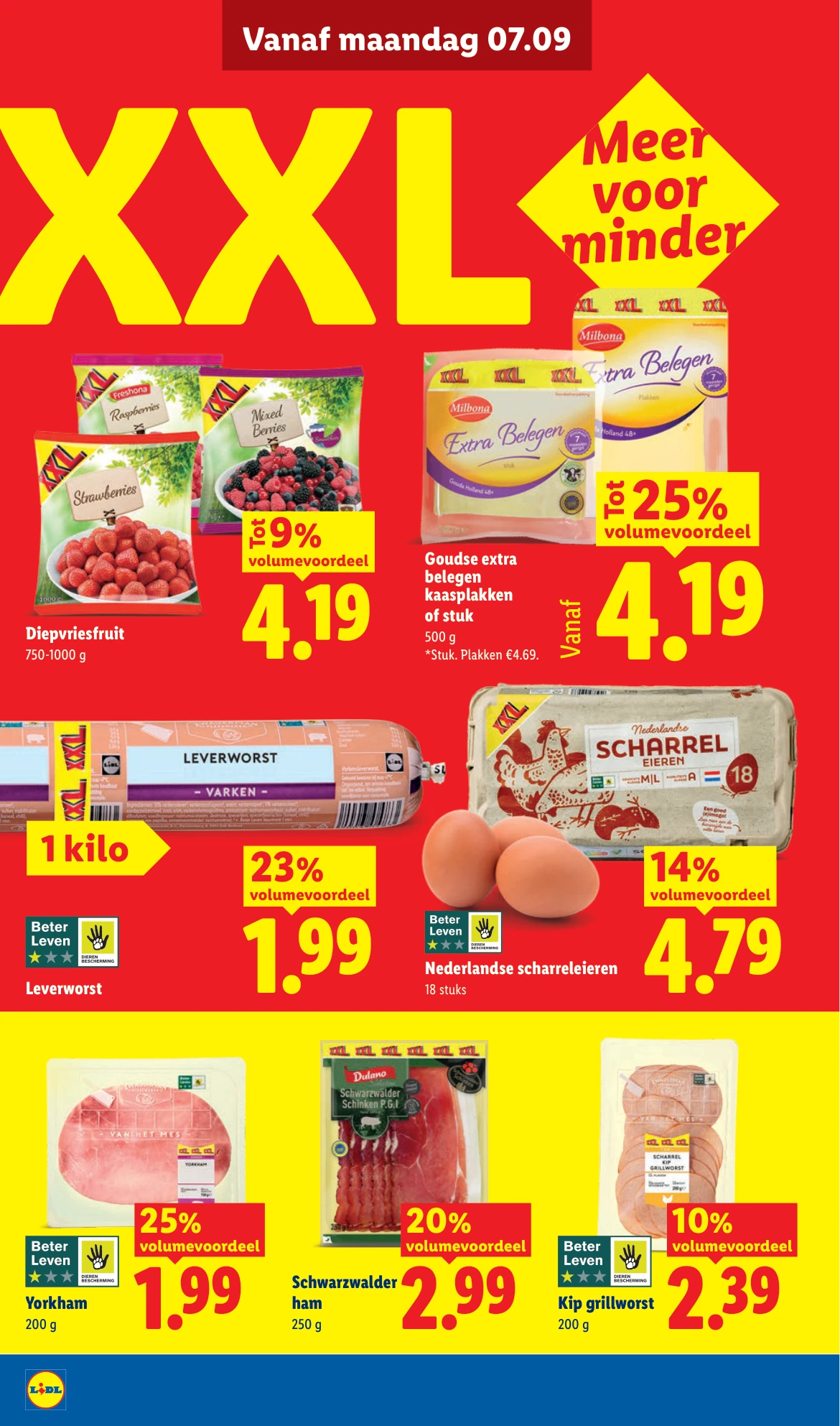 Flyer page 19