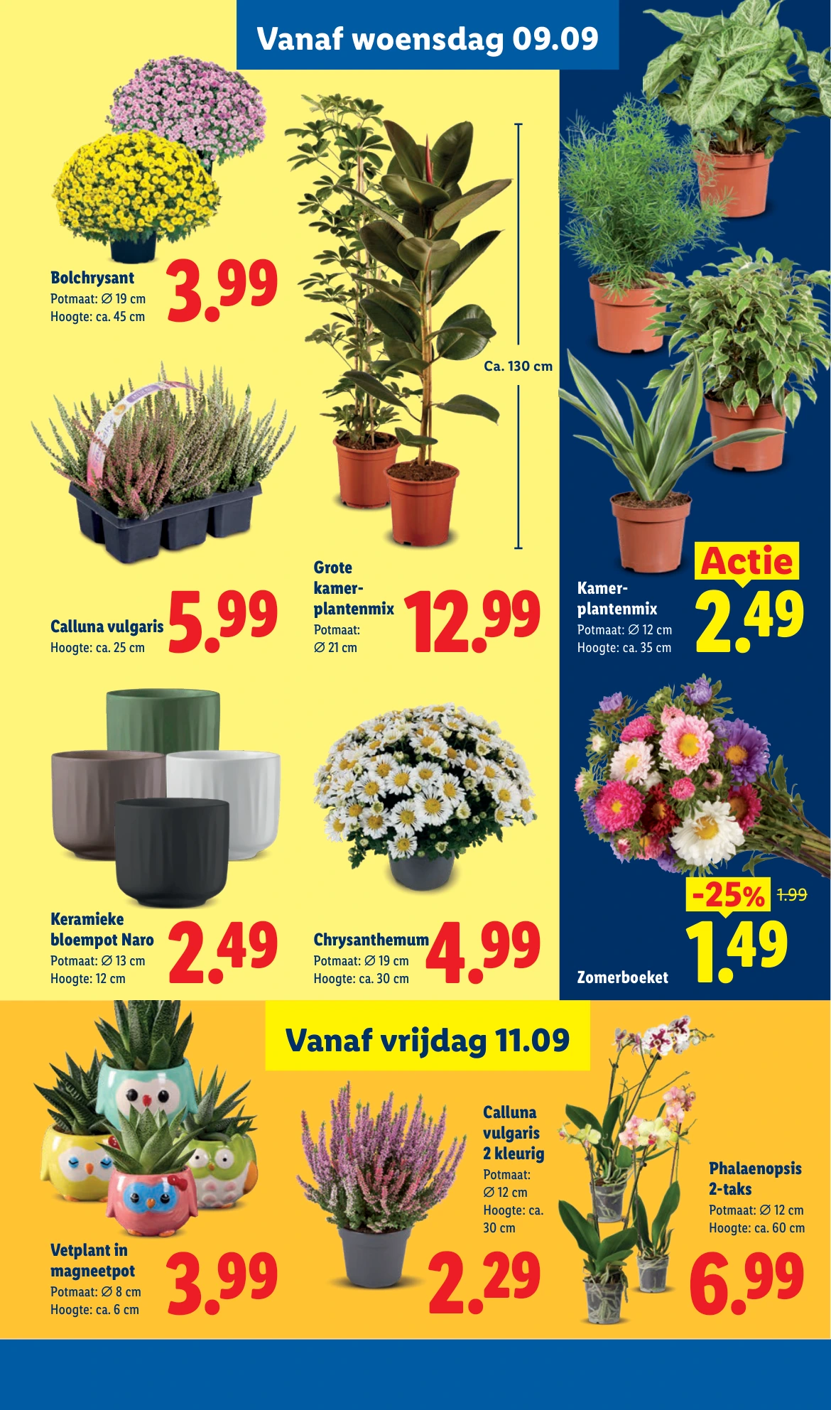 Flyer page 36