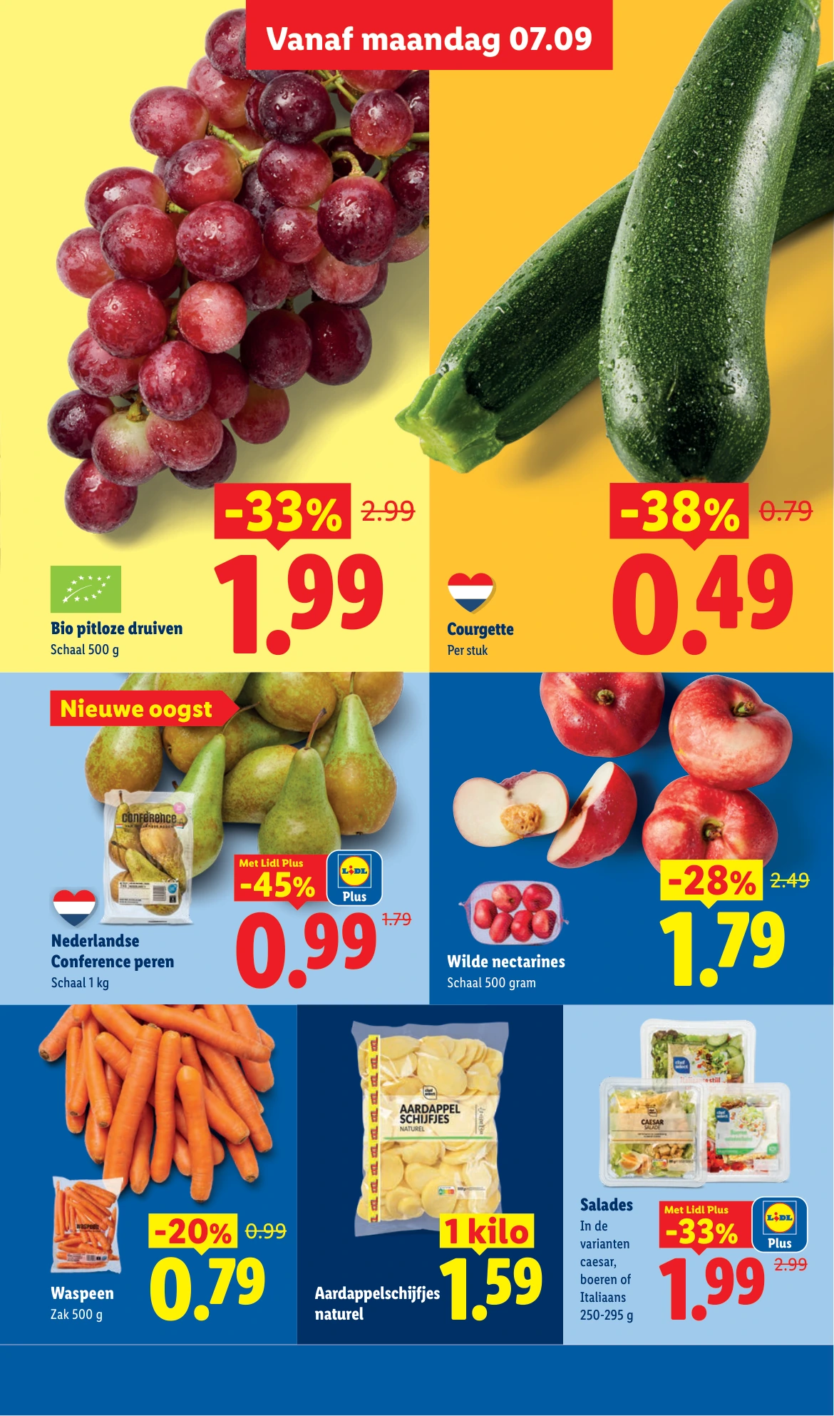 Flyer page 5