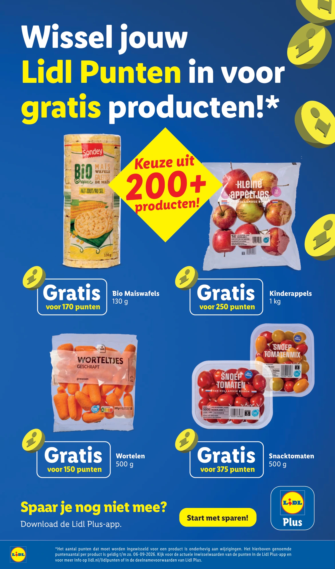 Flyer page 11