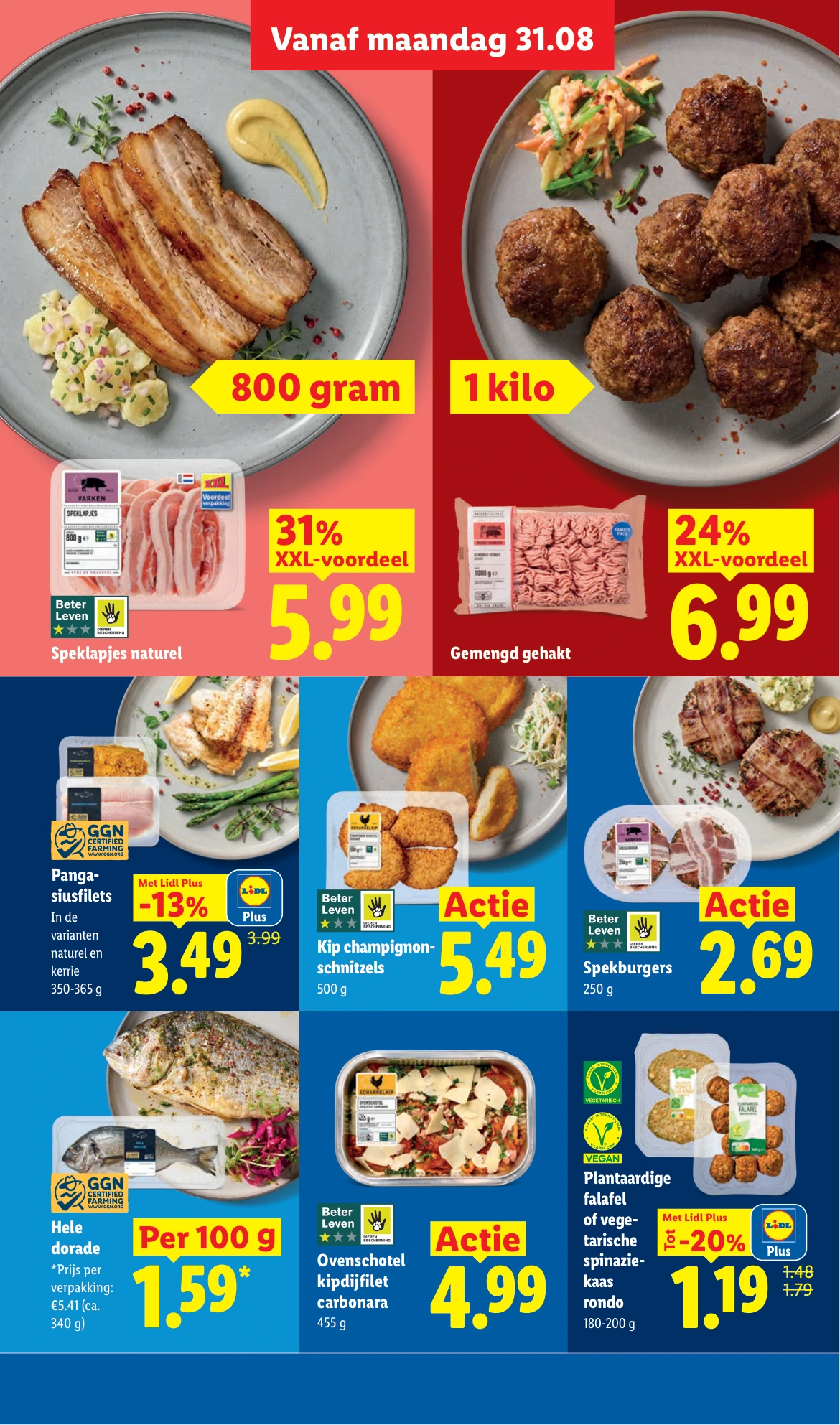 Flyer page 13