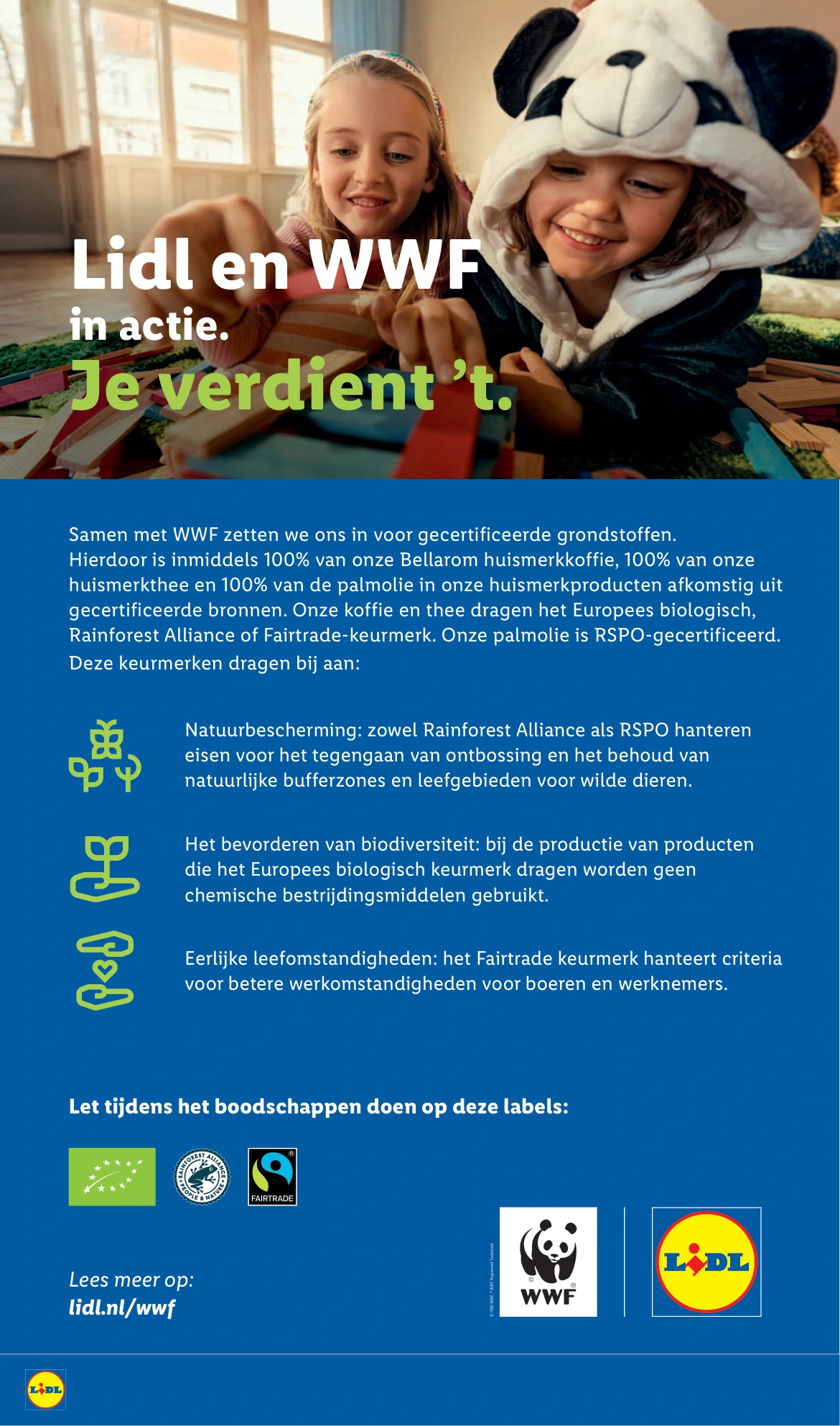 Flyer page 41