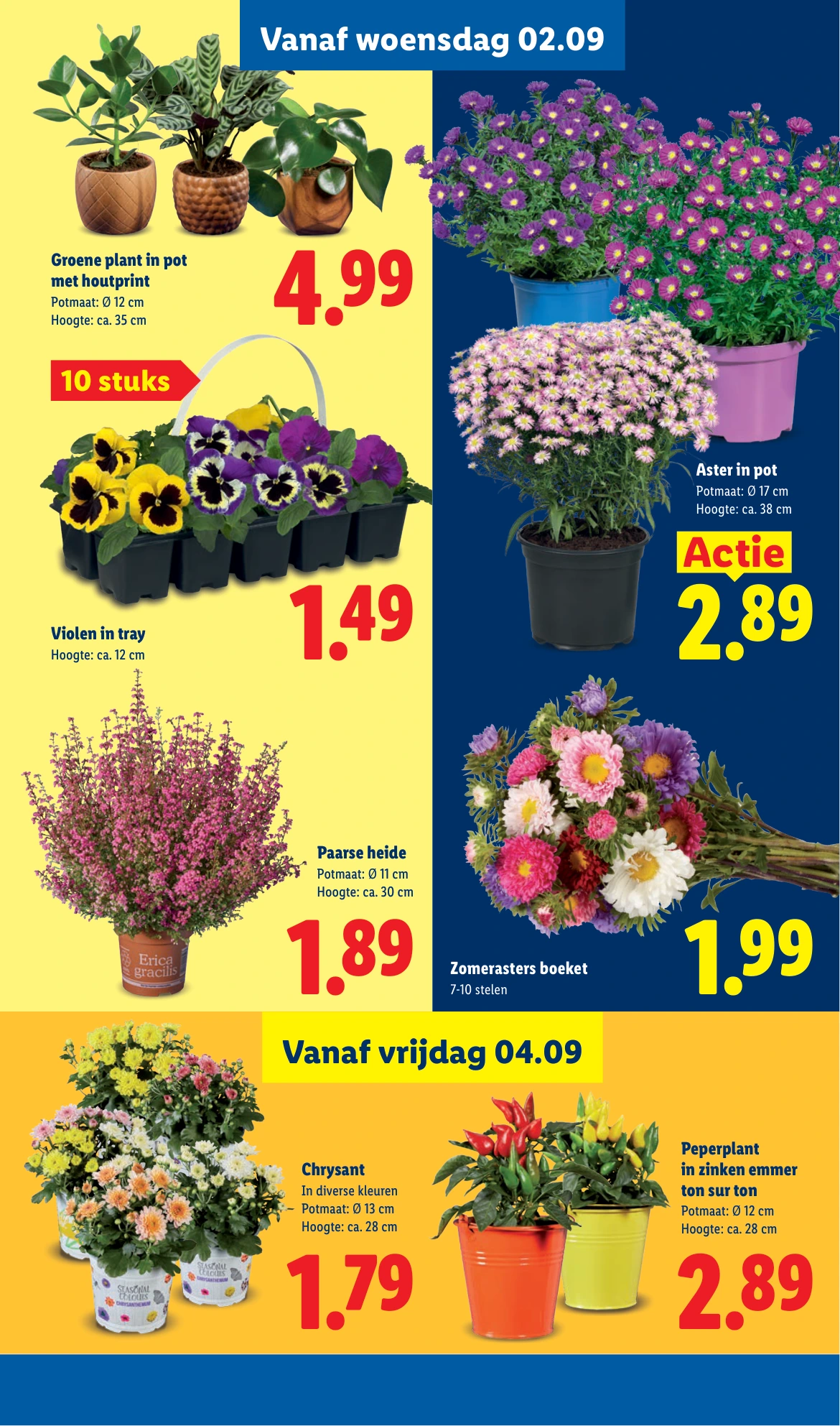 Flyer page 42