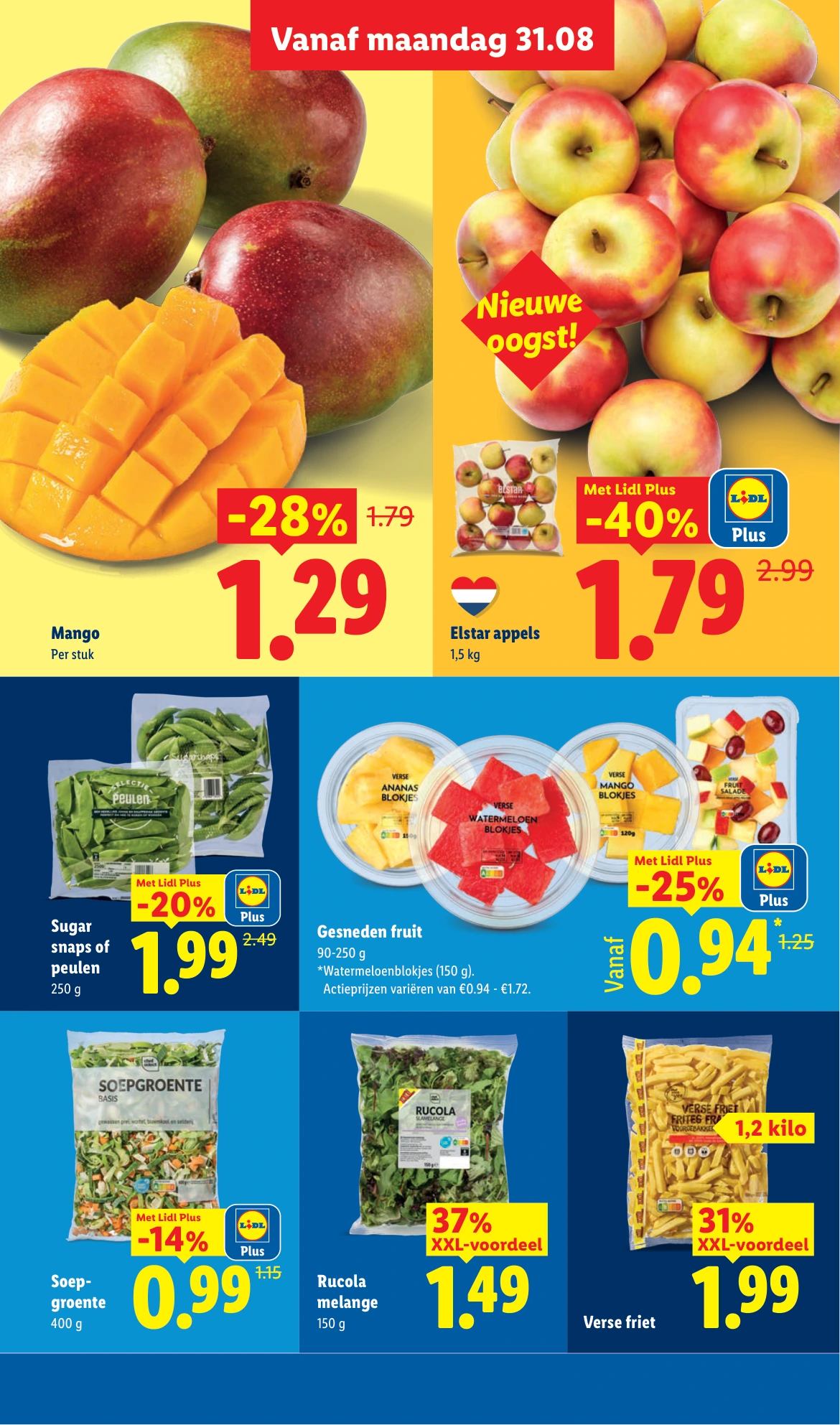 Flyer page 7