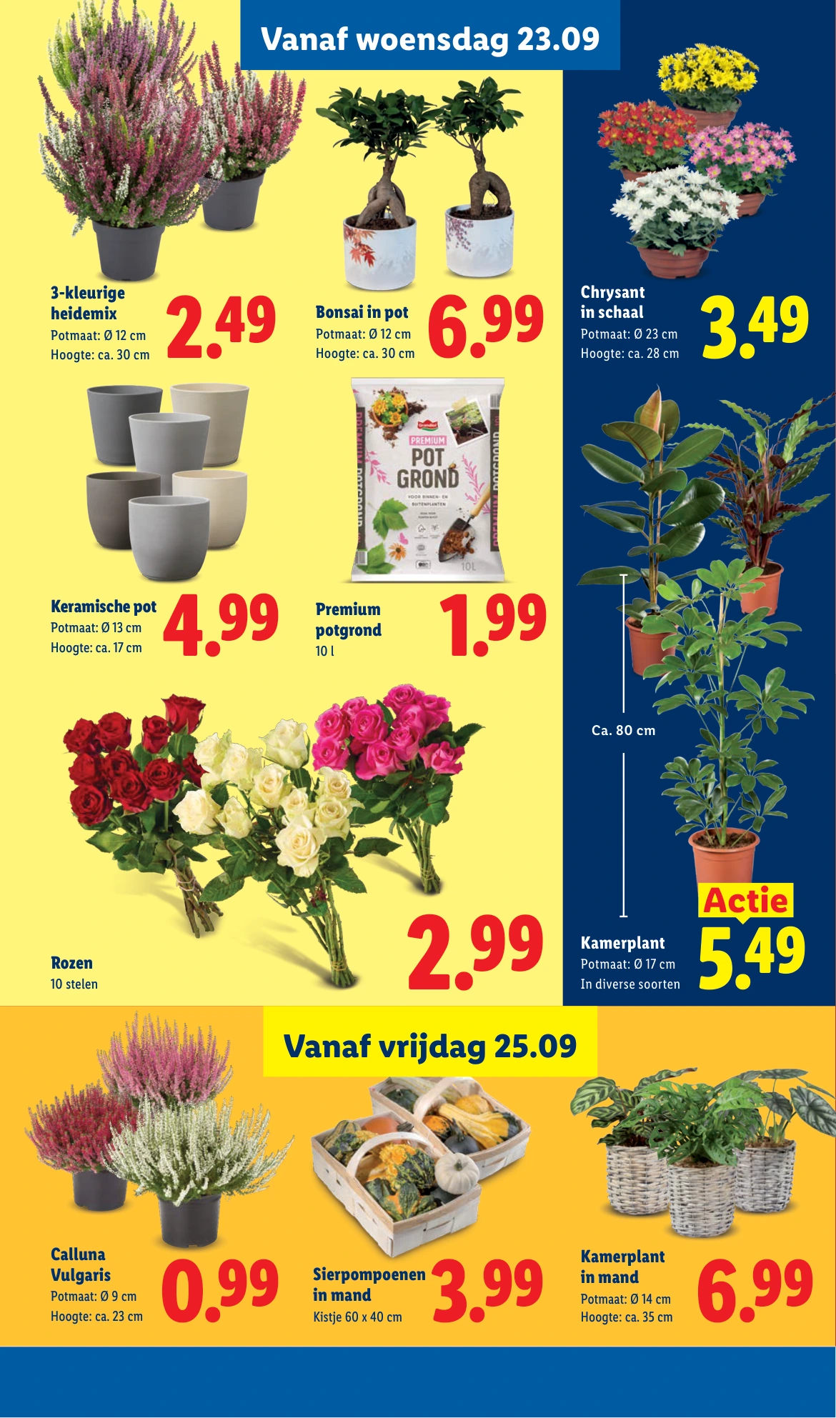 Flyer page 16