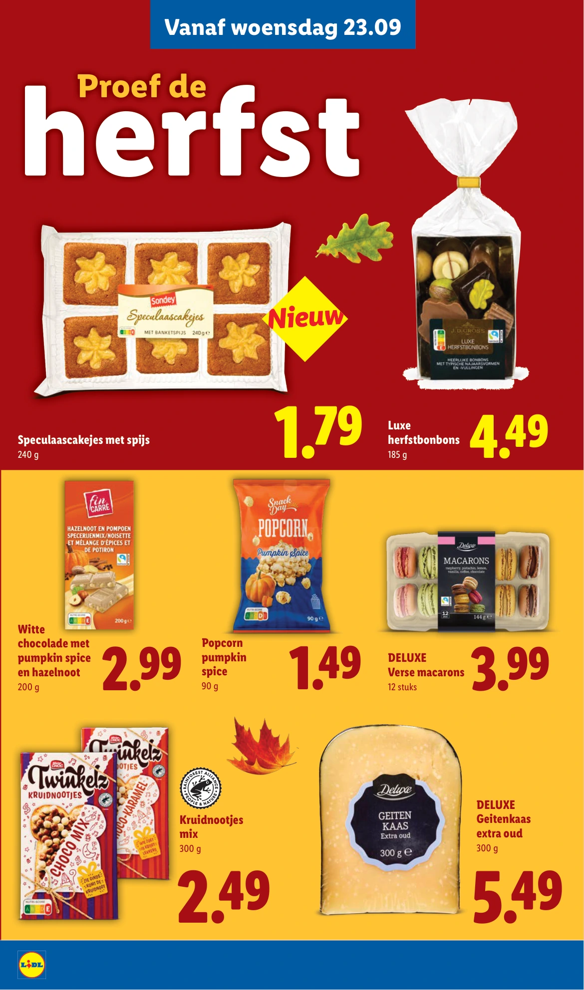 Flyer page 19