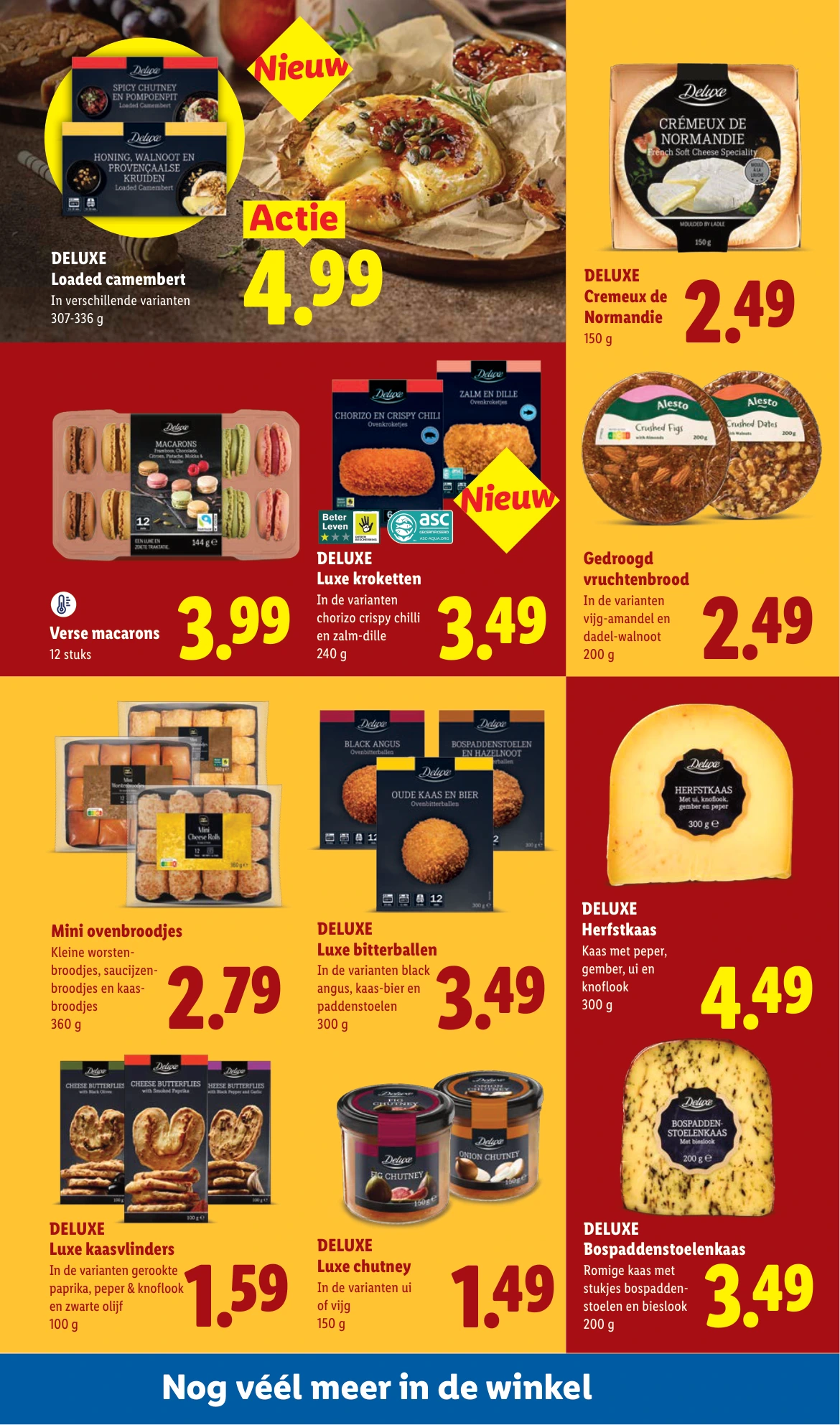 Flyer page 17