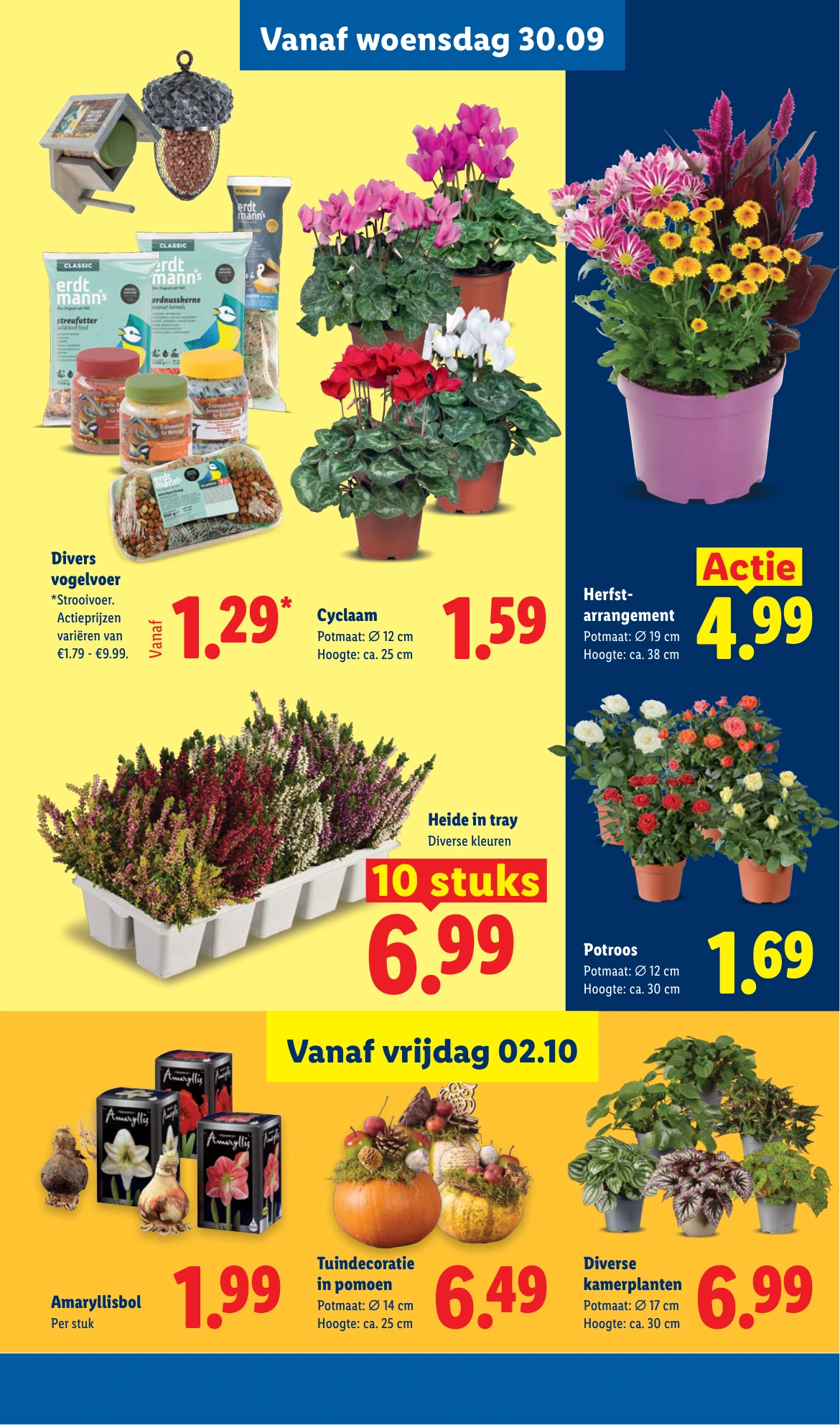 Flyer page 22