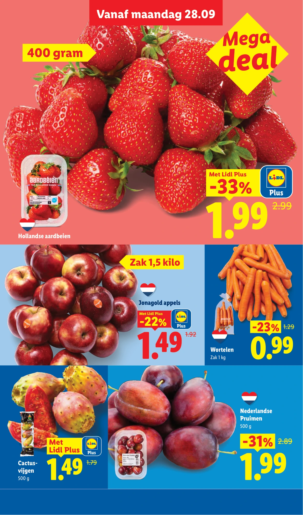 Flyer page 5