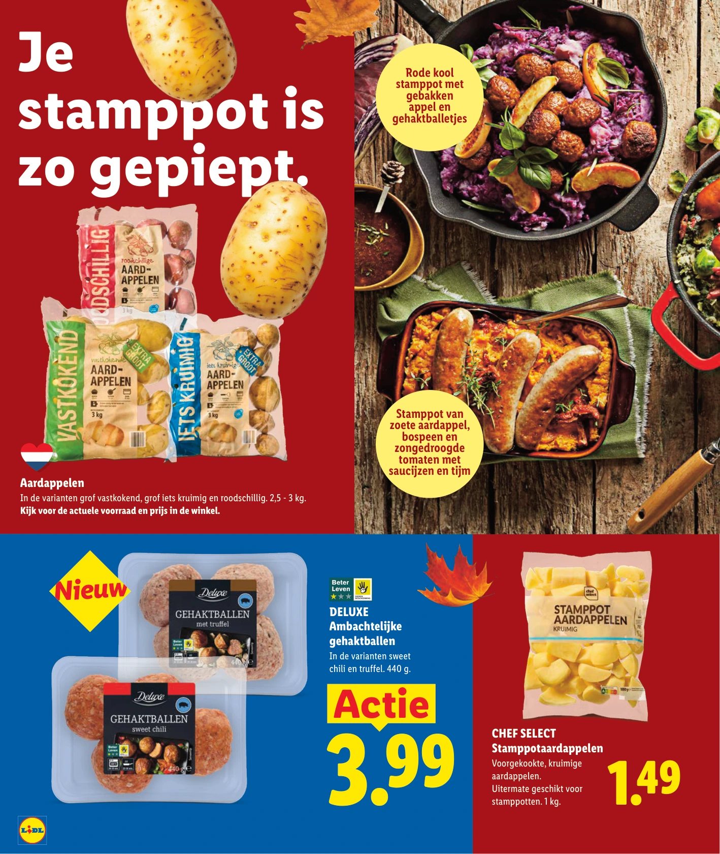 Flyer page 12