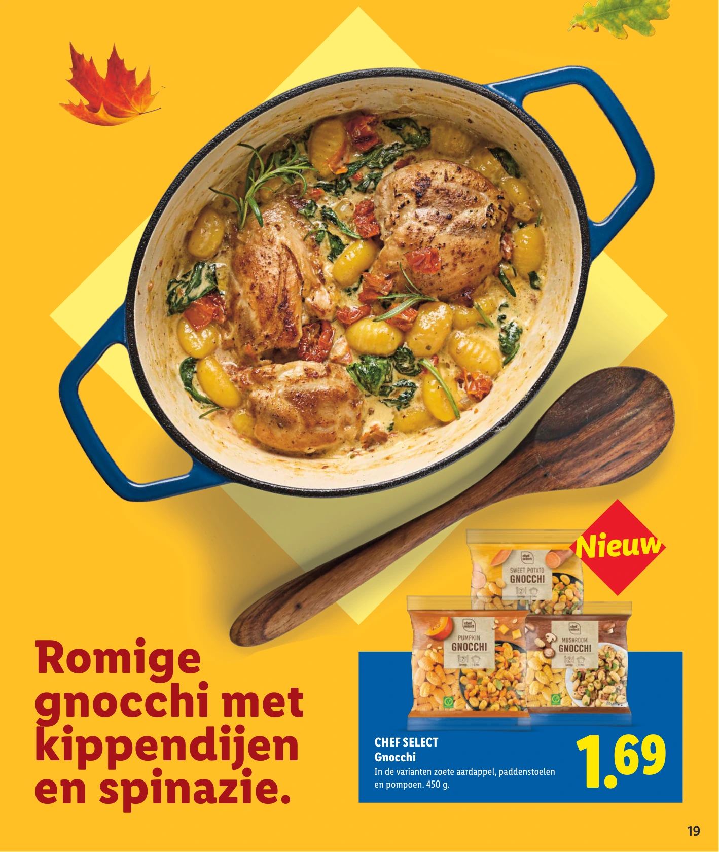 Flyer page 19