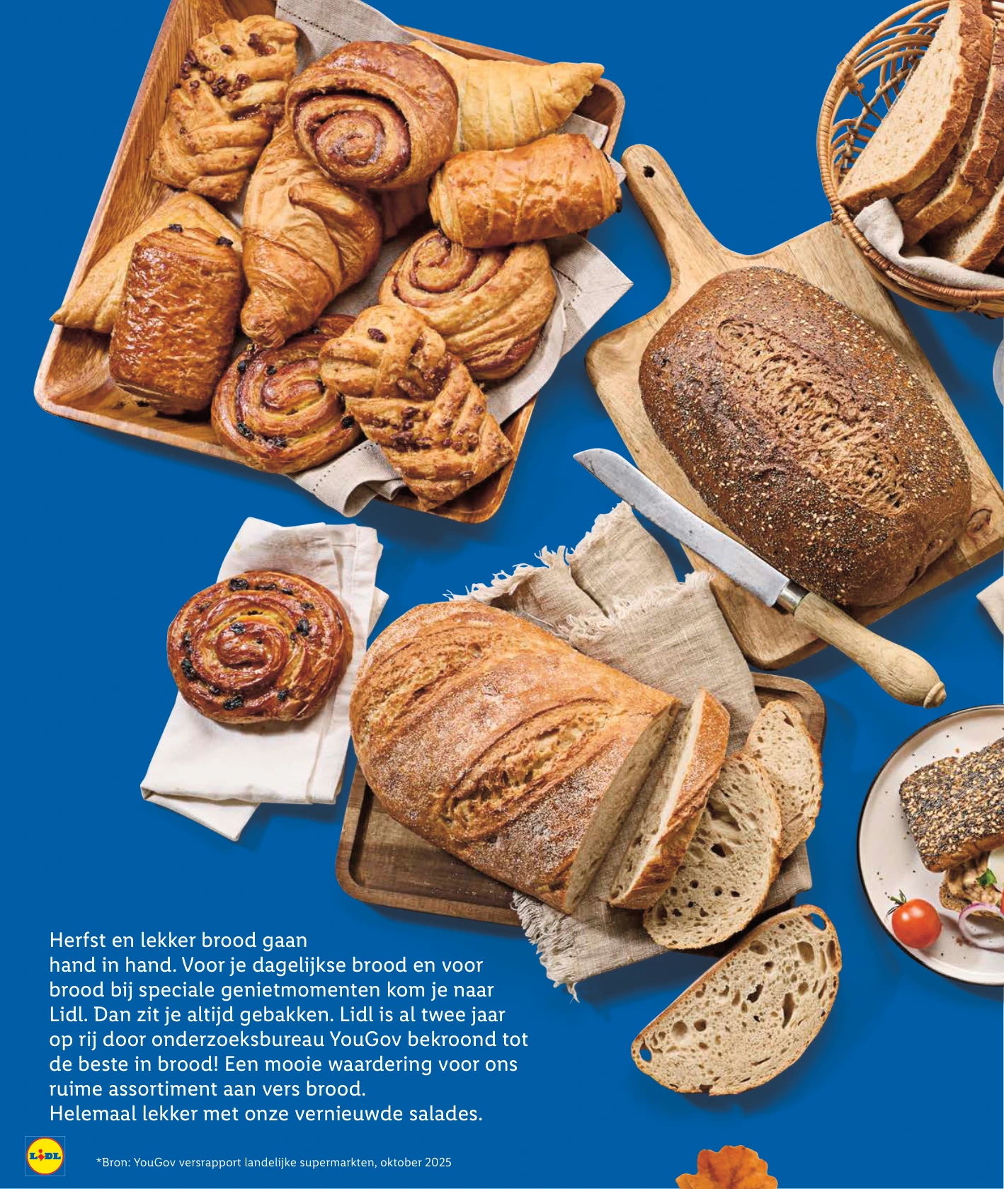 Flyer page 4