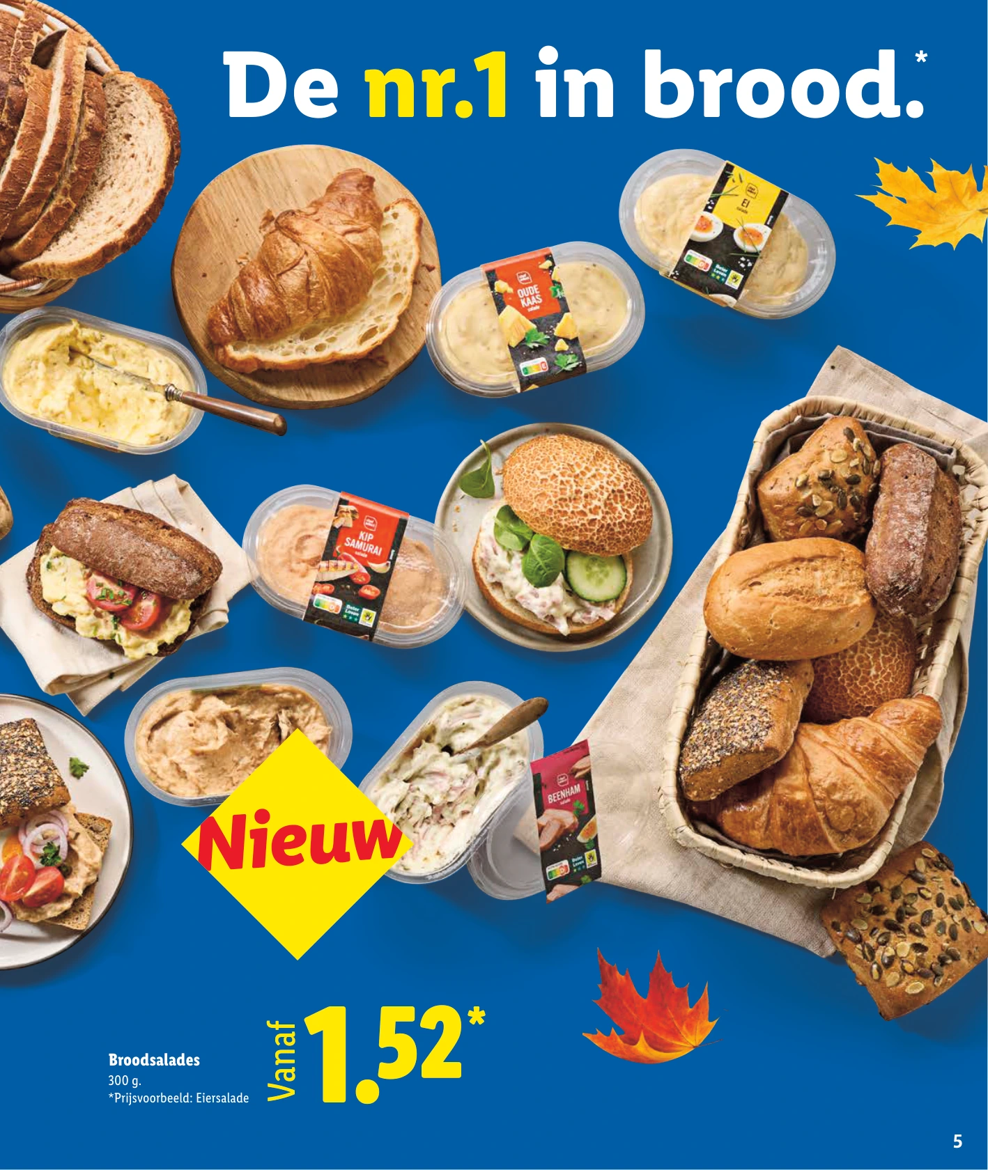 Flyer page 5