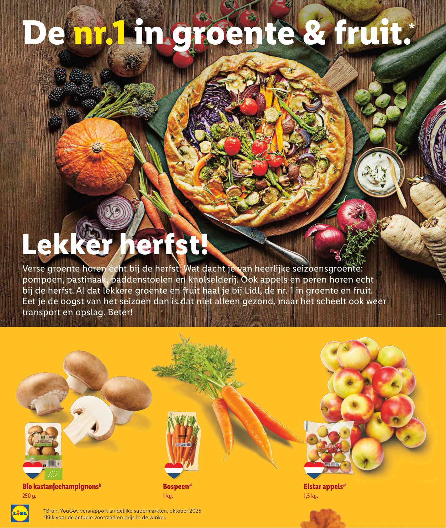 Flyer page 6