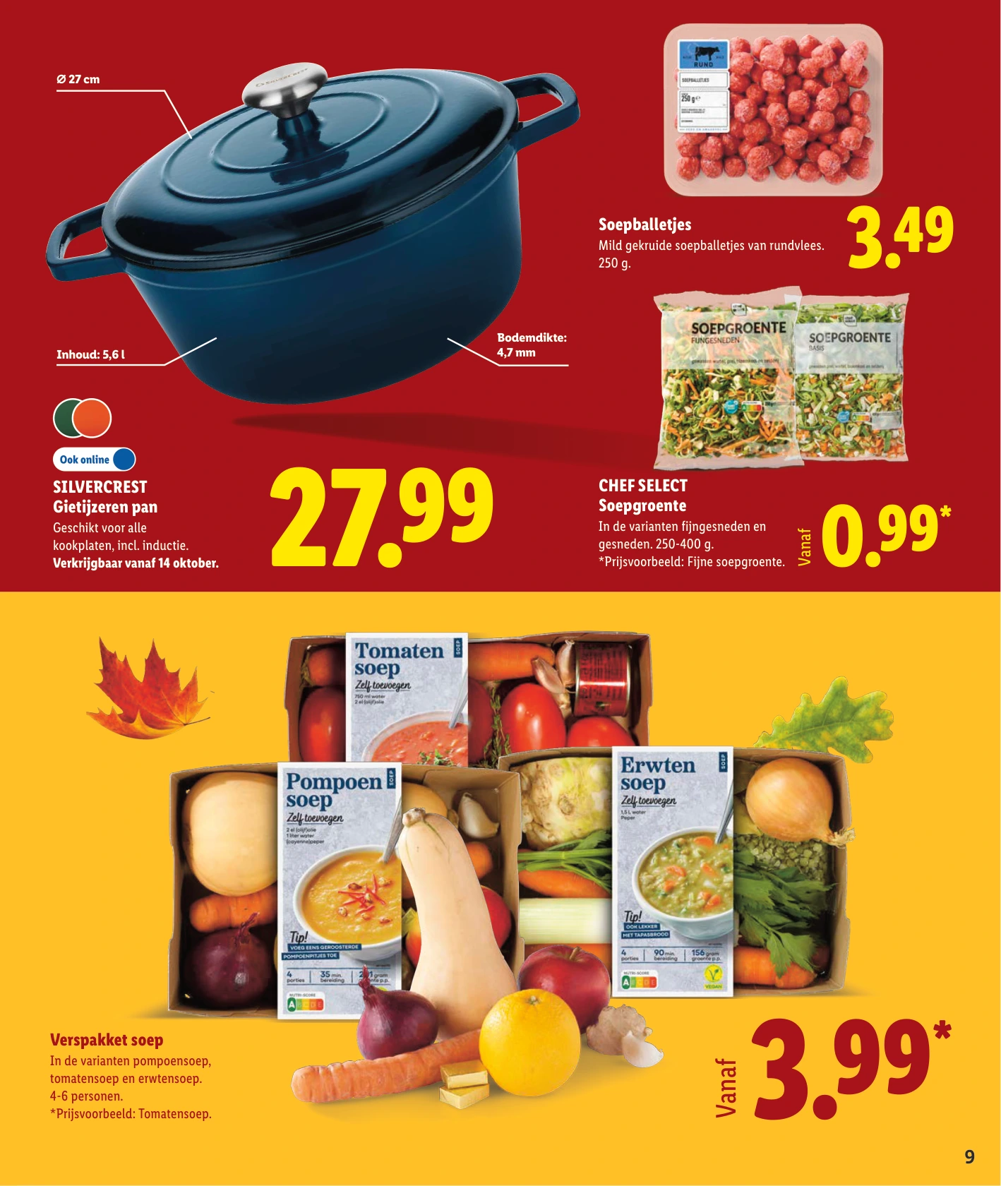 Flyer page 9