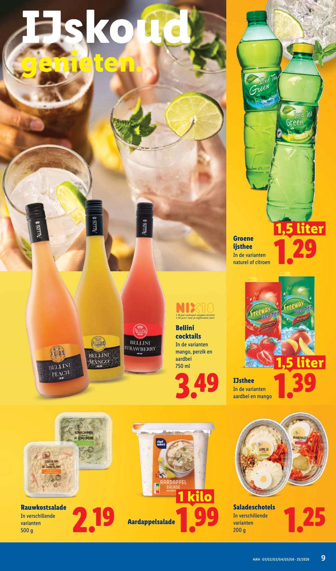 Flyer page 9