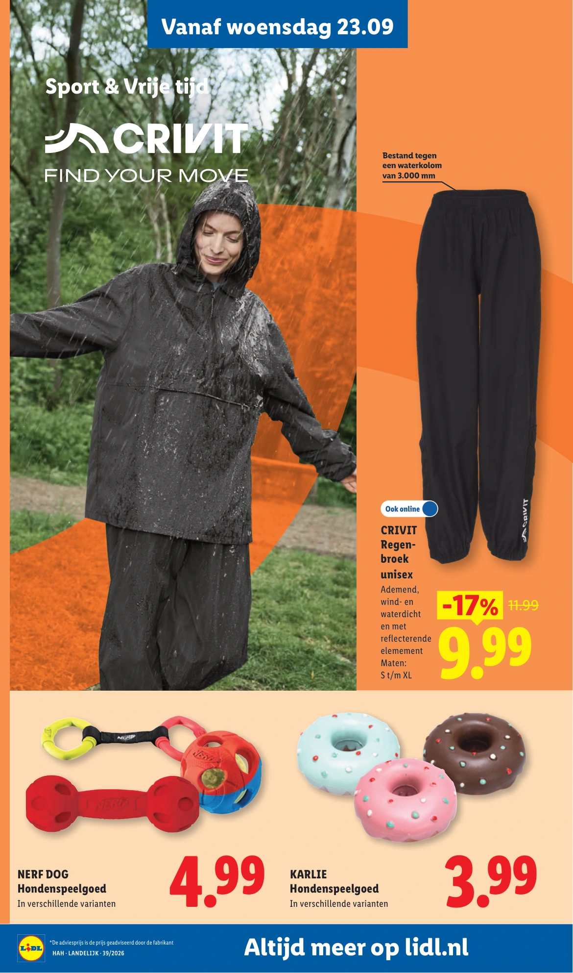 Flyer page 3