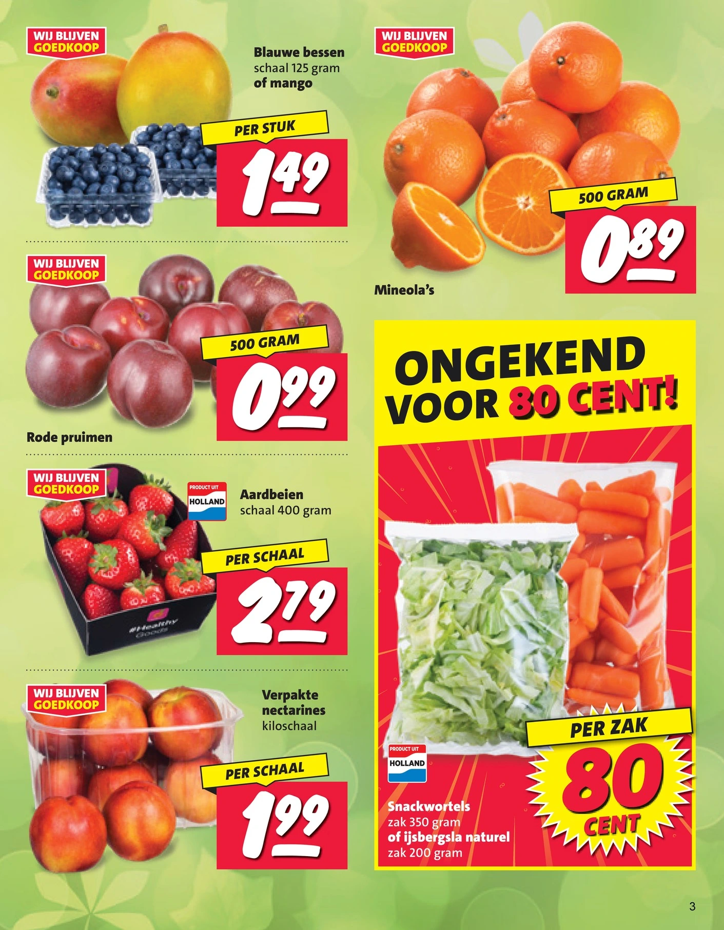 Flyer page 3
