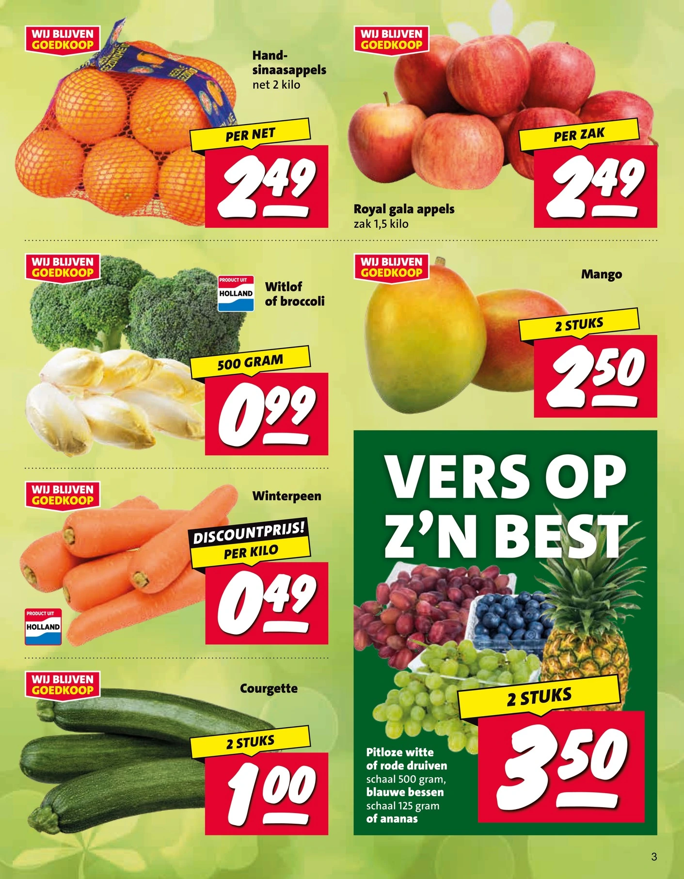 Flyer page 3