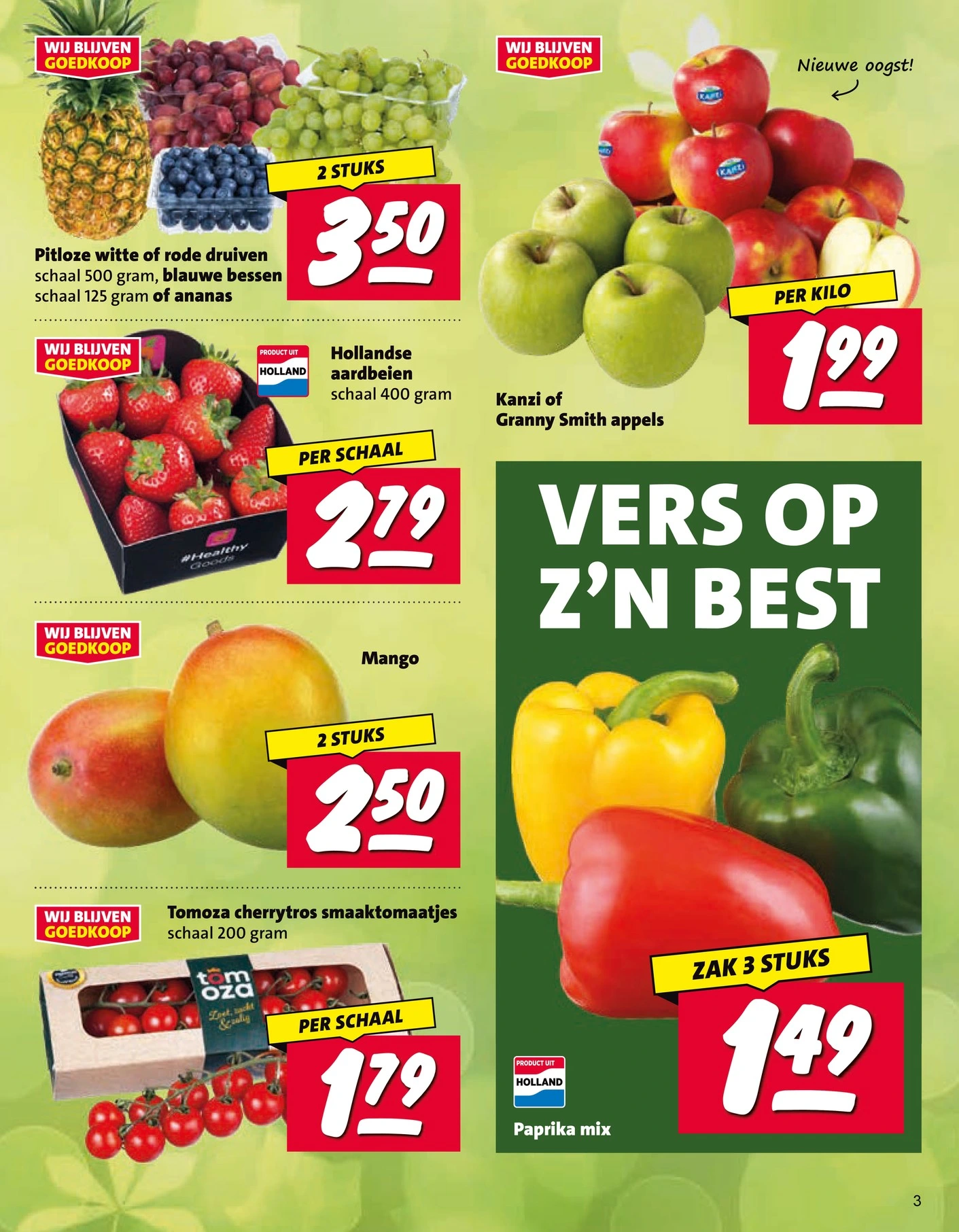 Flyer page 3