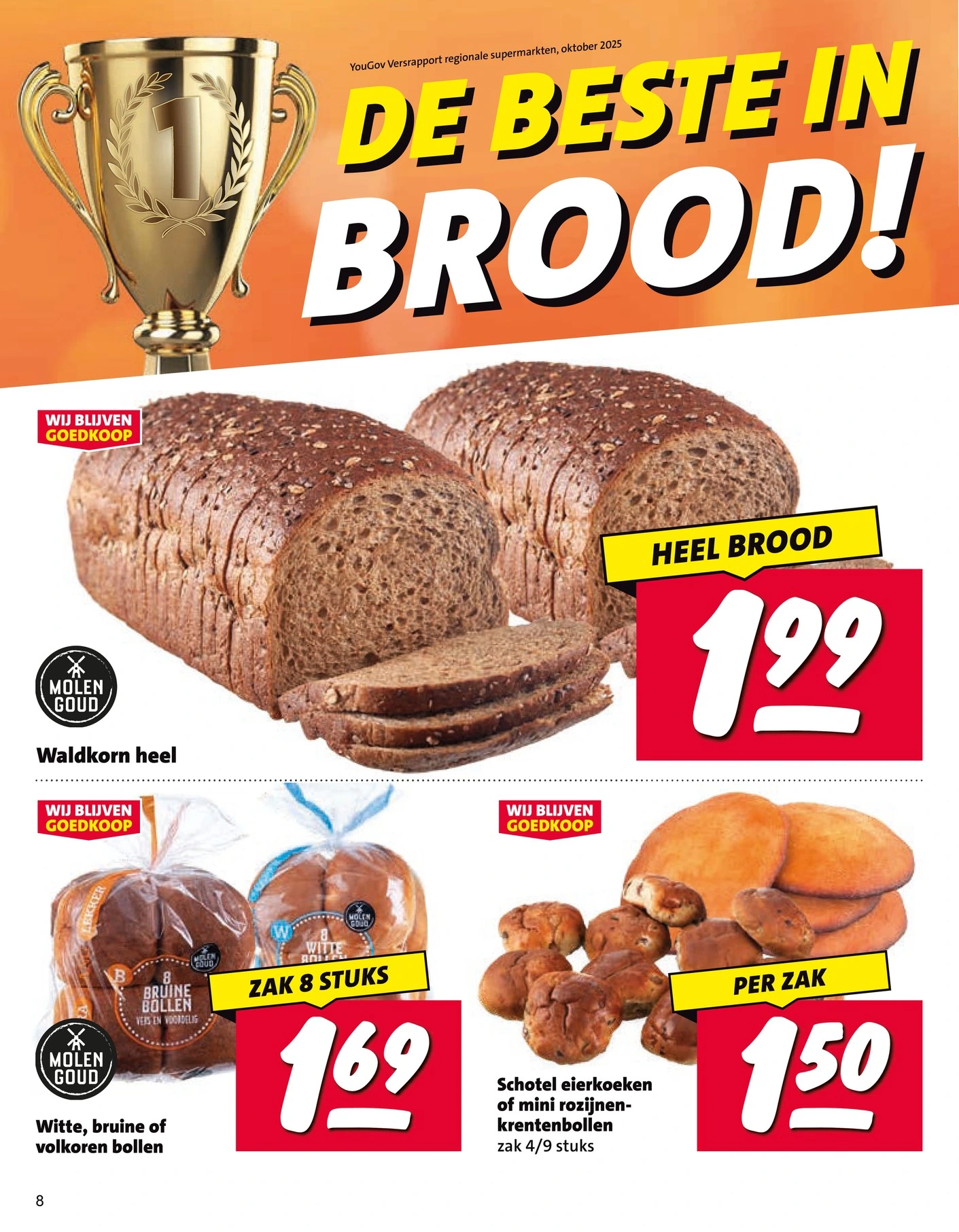 Flyer page 8