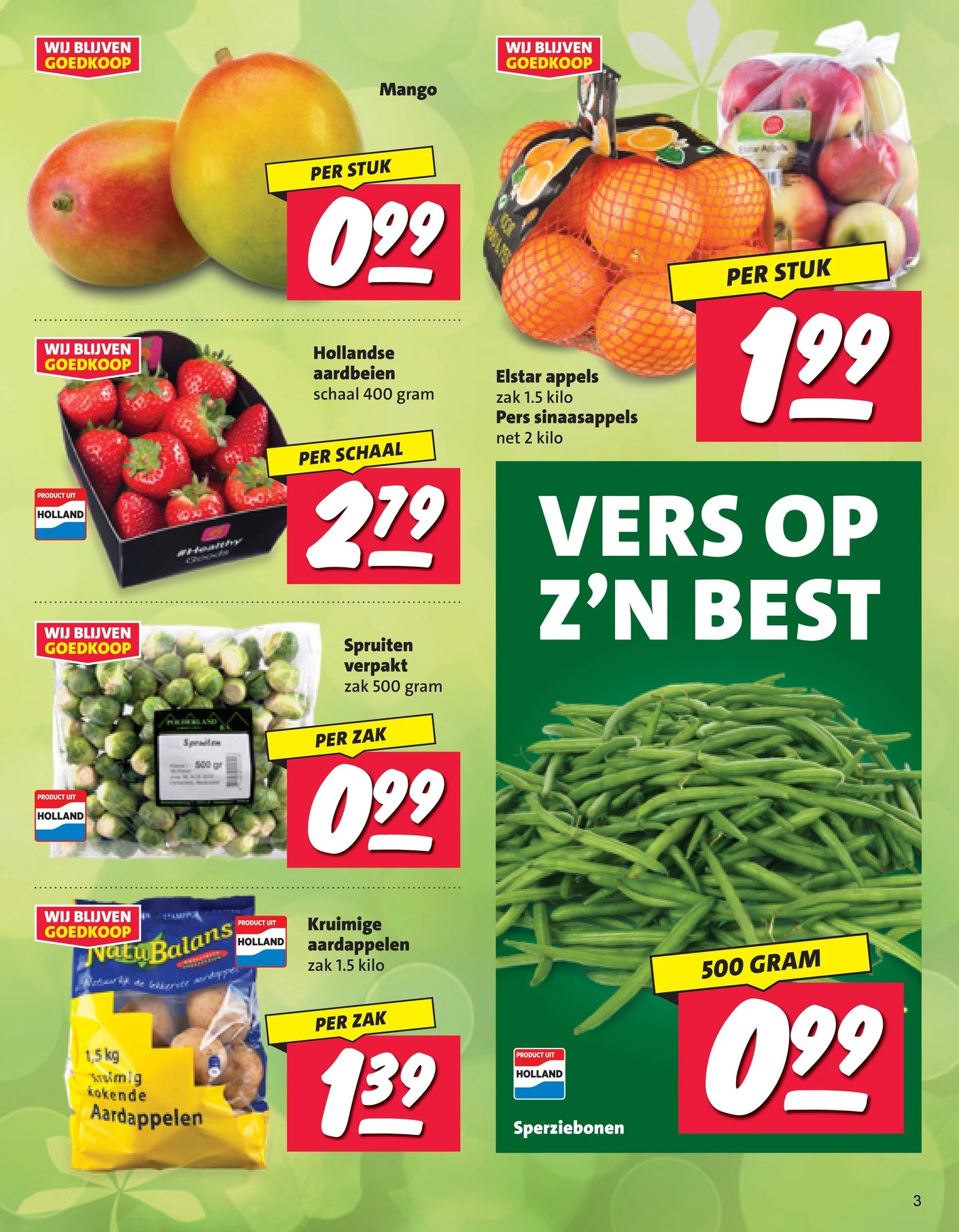 Flyer page 3