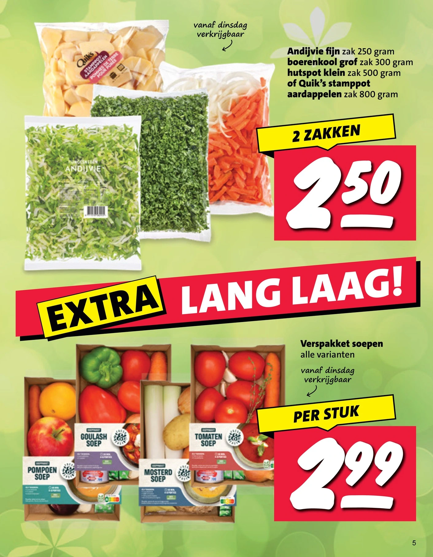 Flyer page 5
