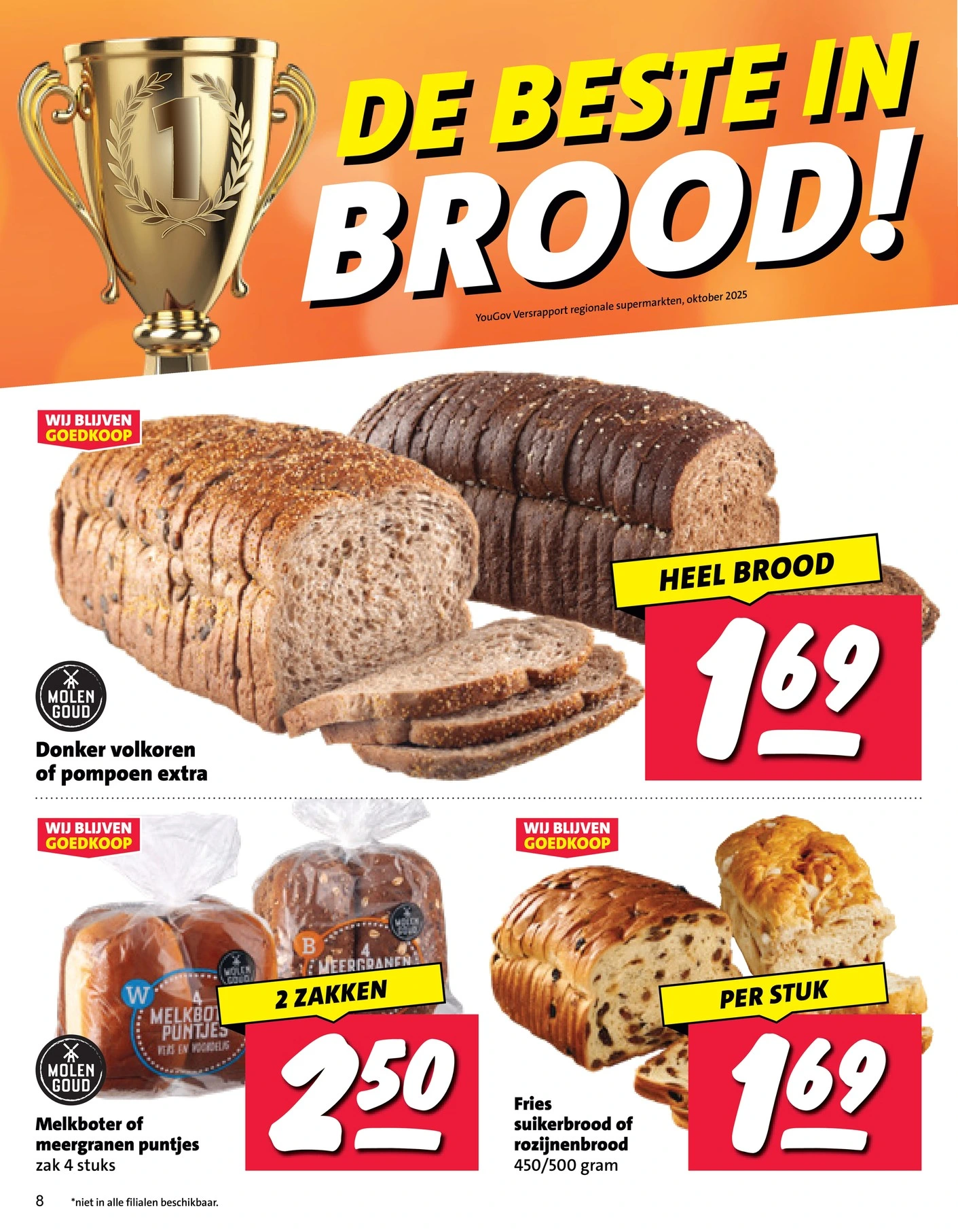 Flyer page 8