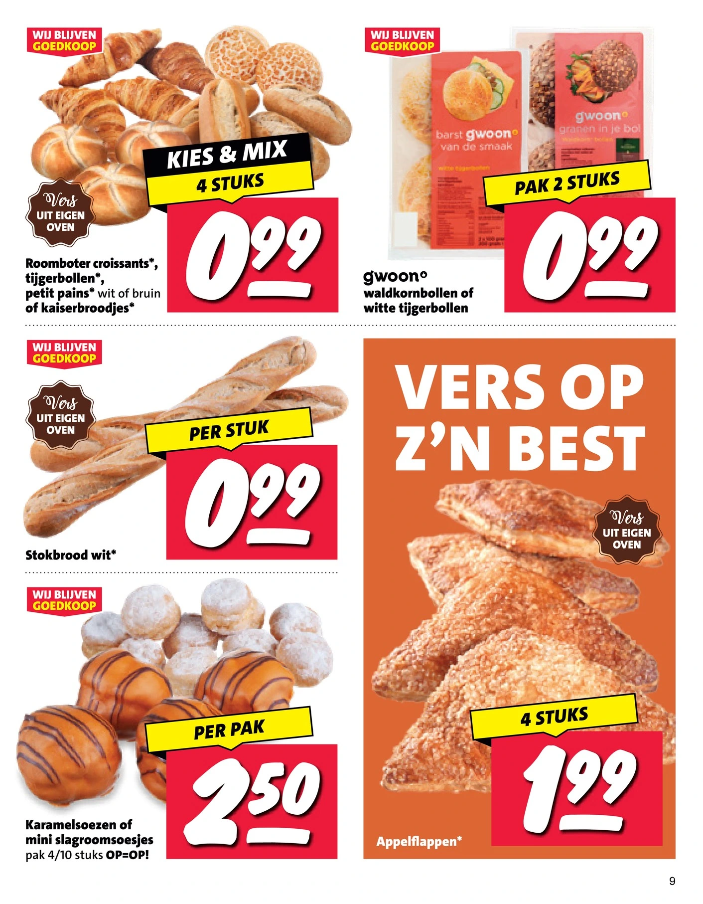 Flyer page 9