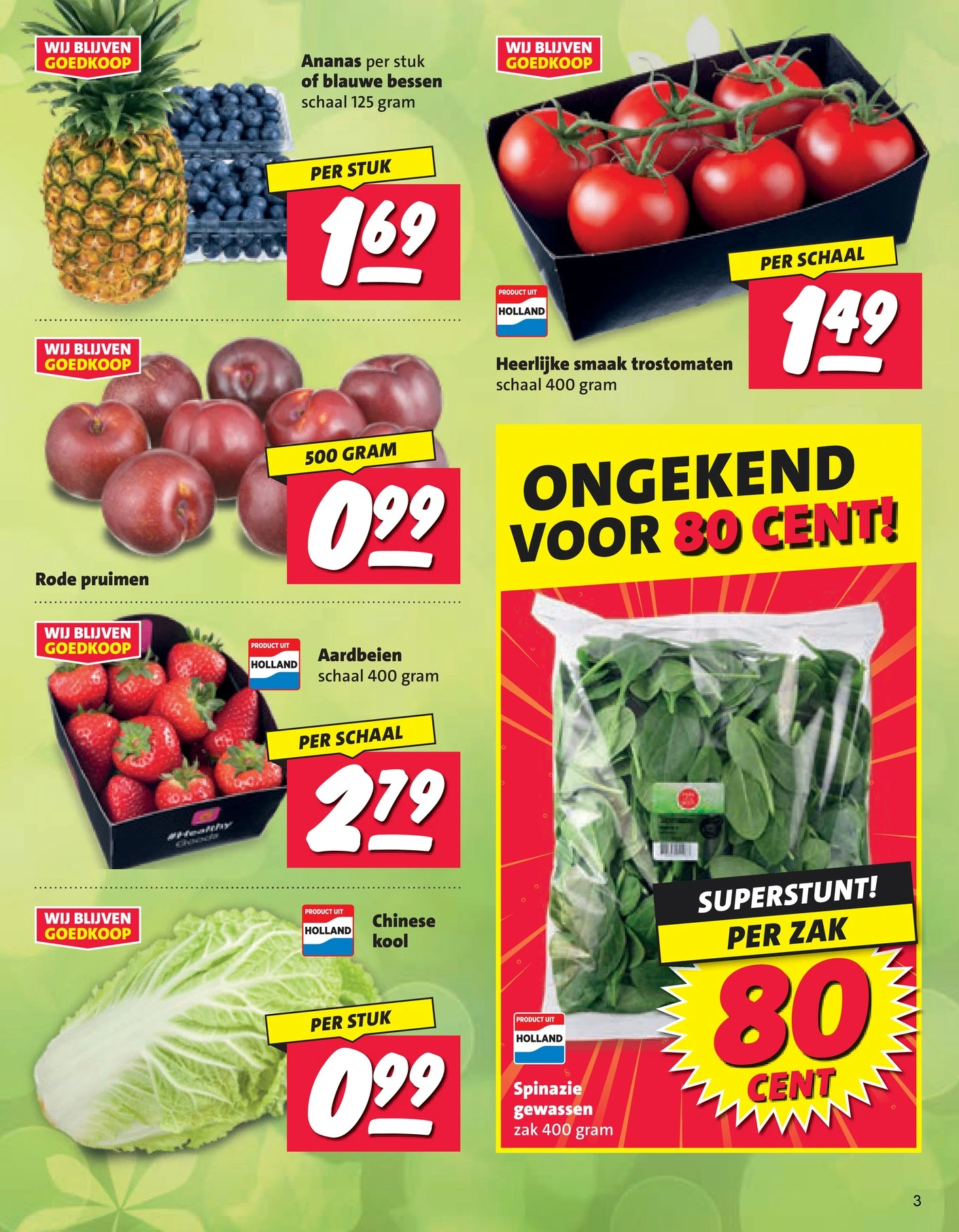 Flyer page 3