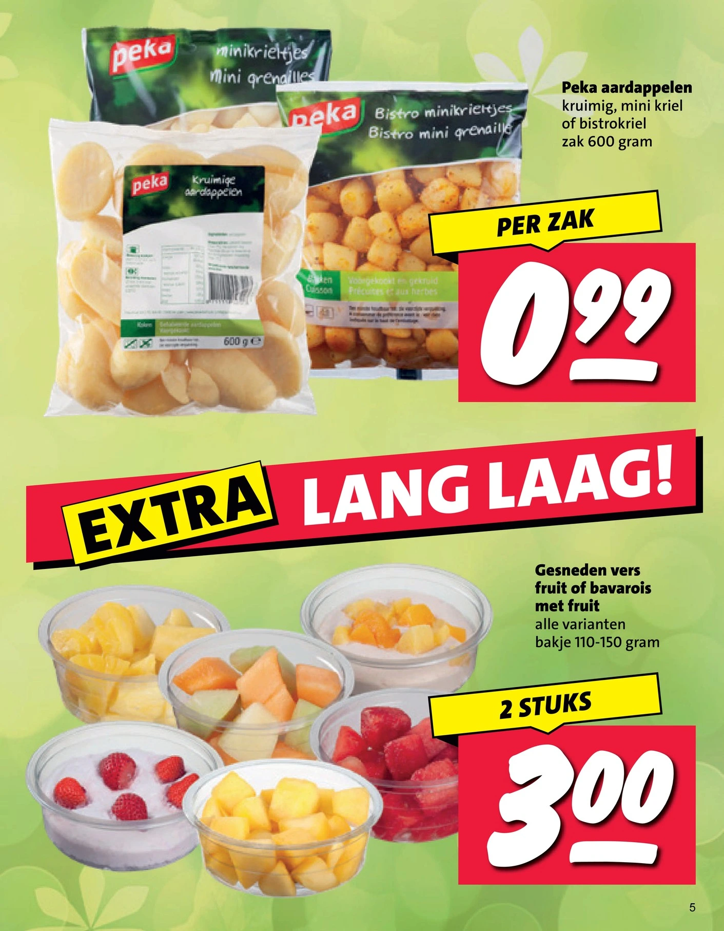 Flyer page 5