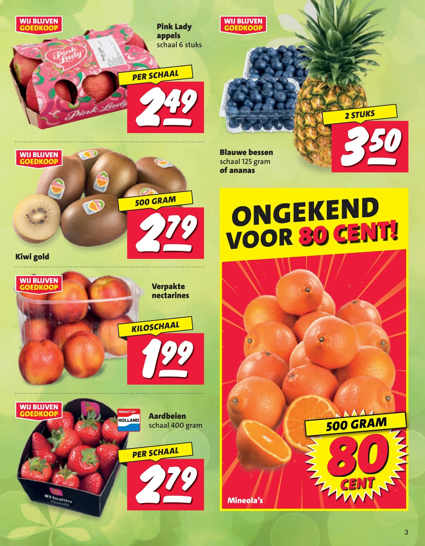Flyer page 3