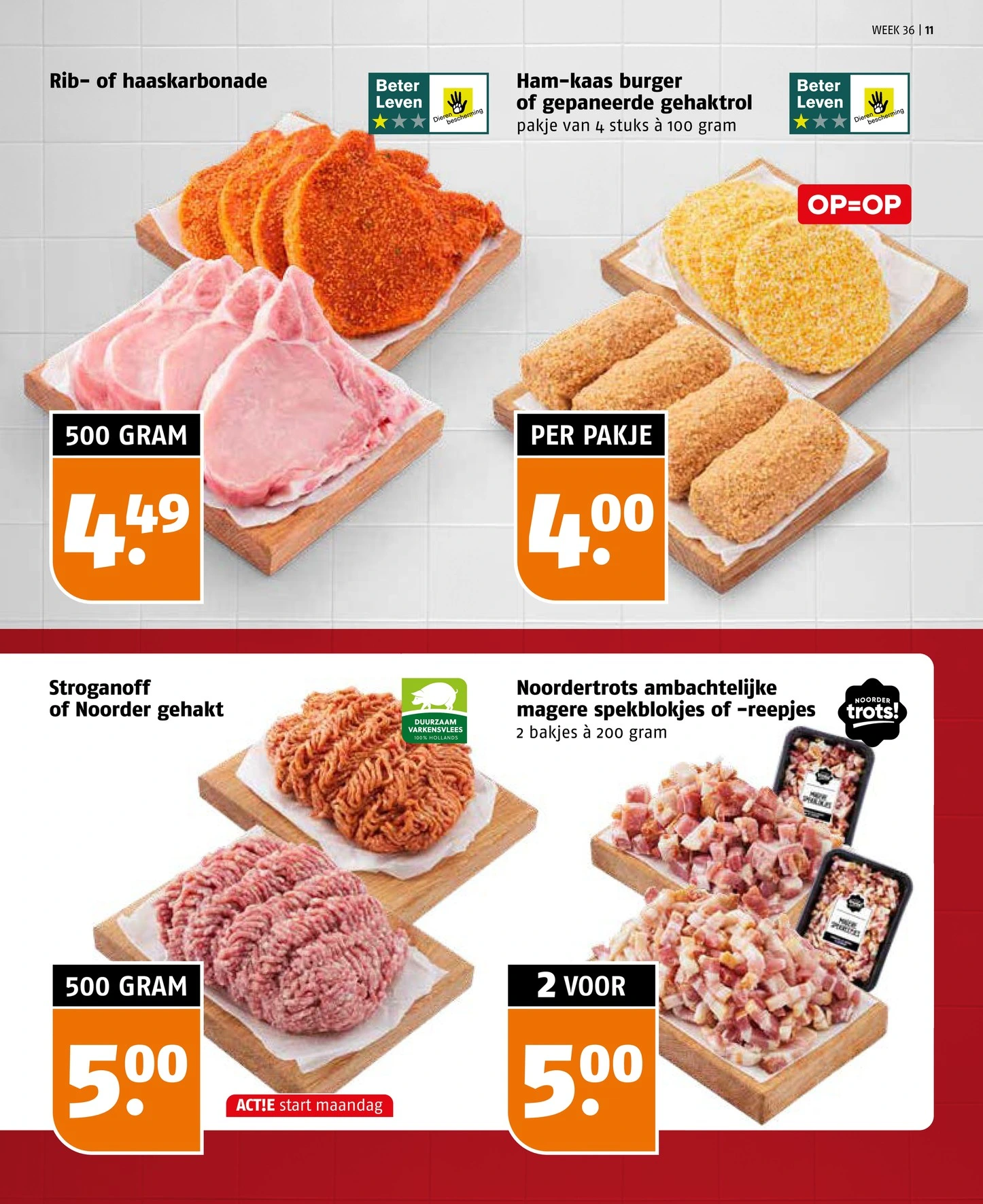 Flyer page 11