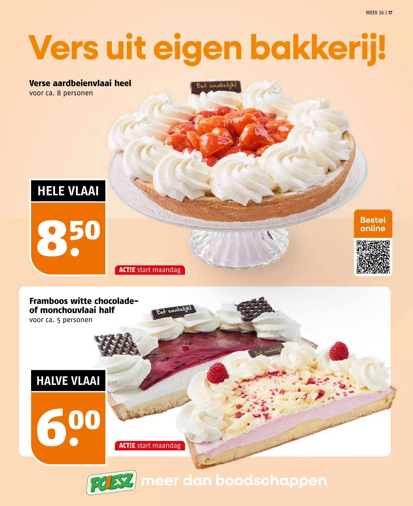 Flyer page 17