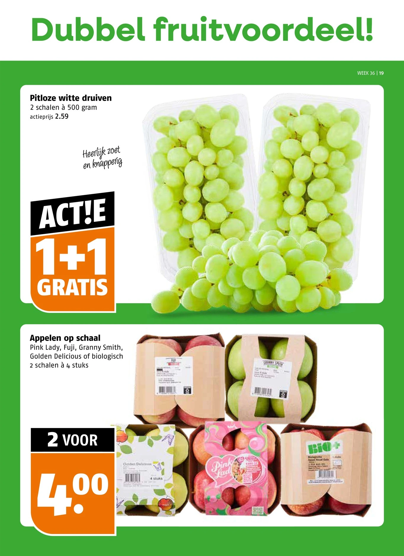 Flyer page 19