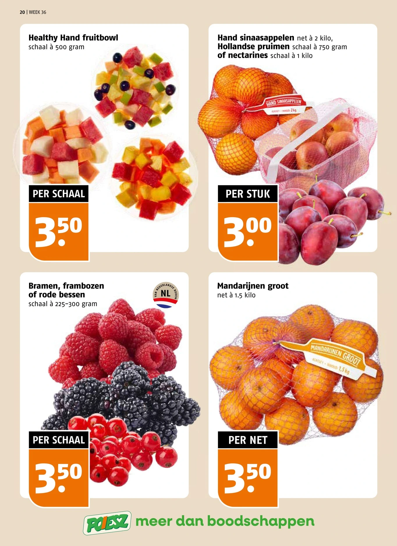 Flyer page 20