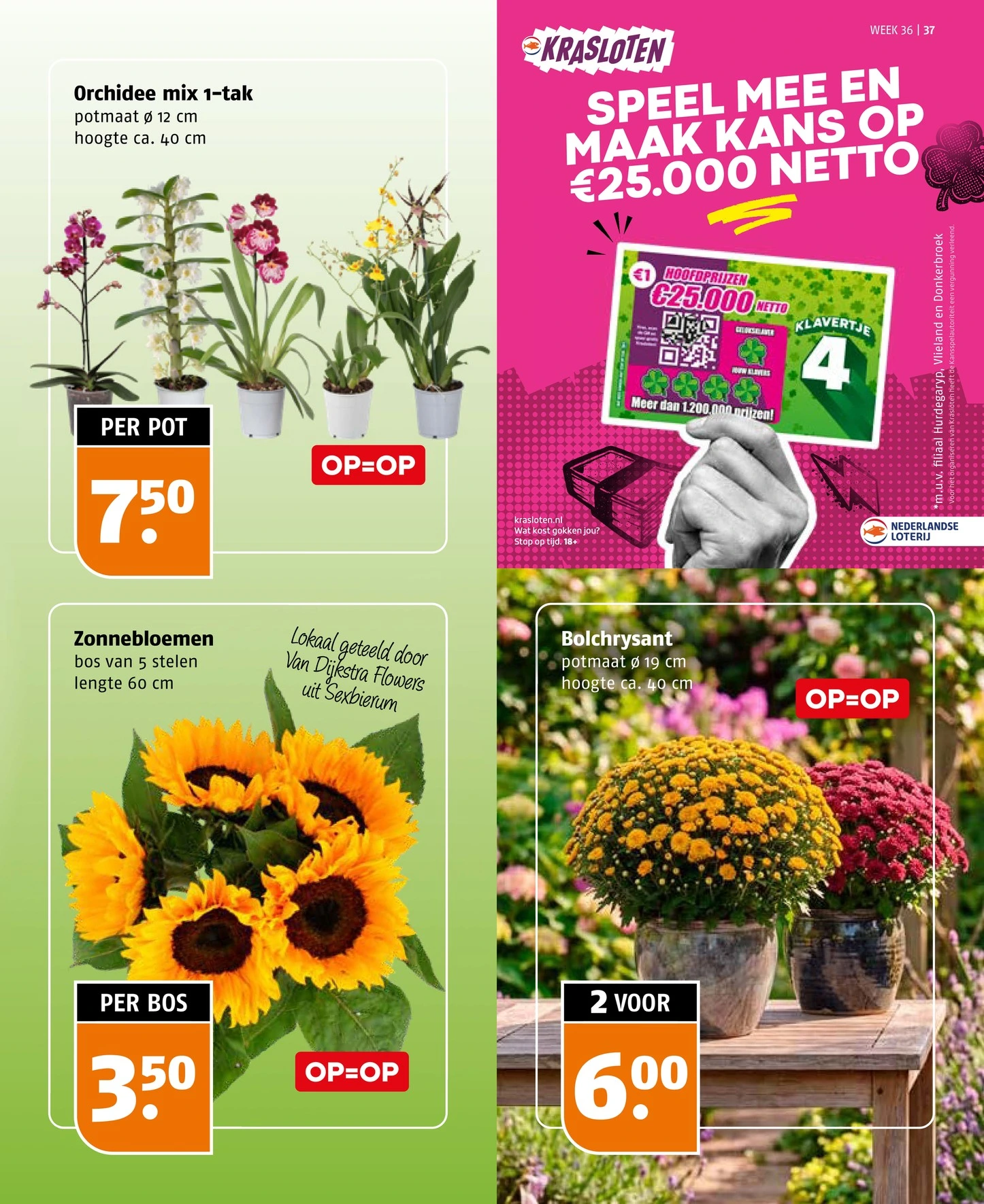 Flyer page 37