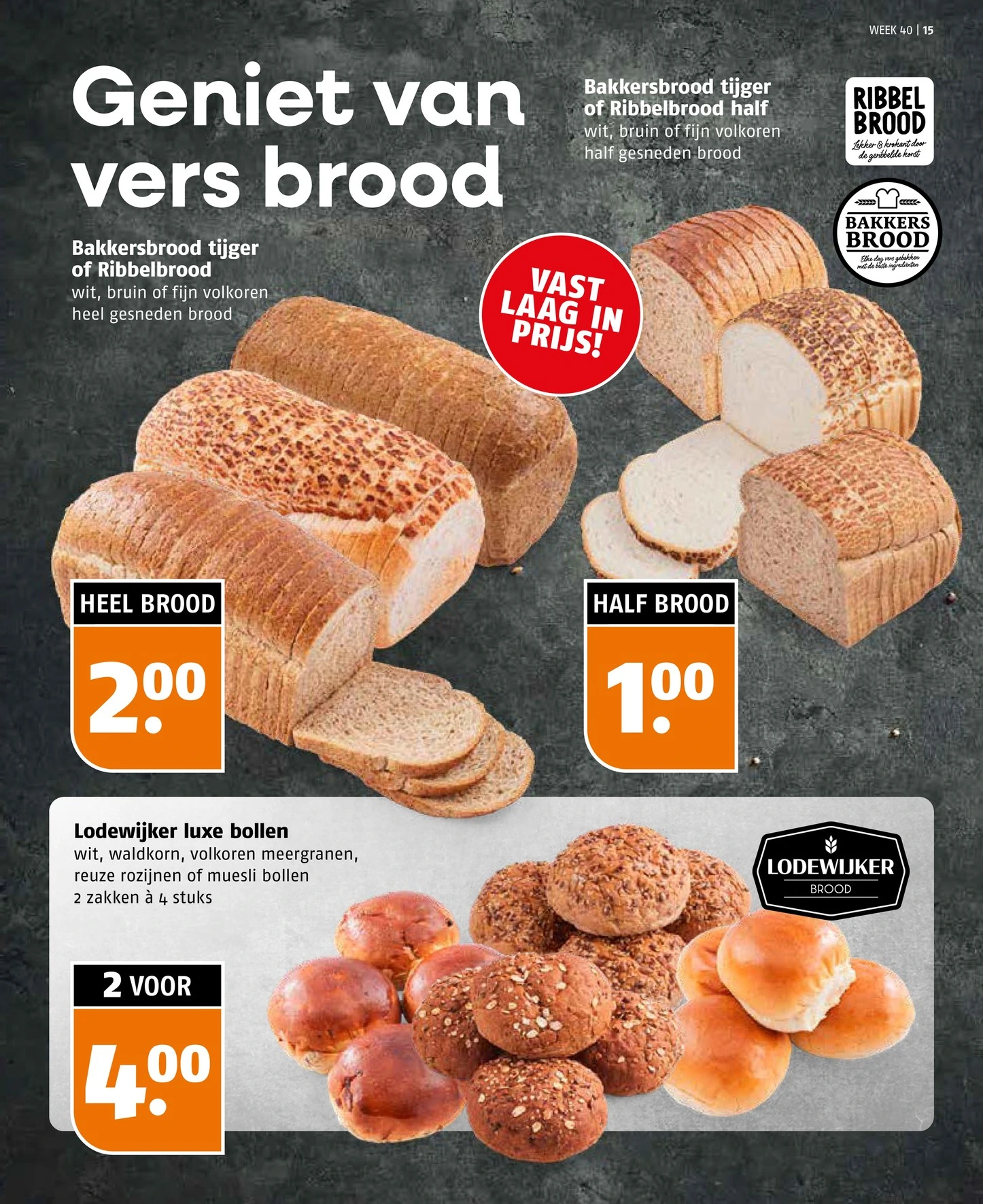 Flyer page 15
