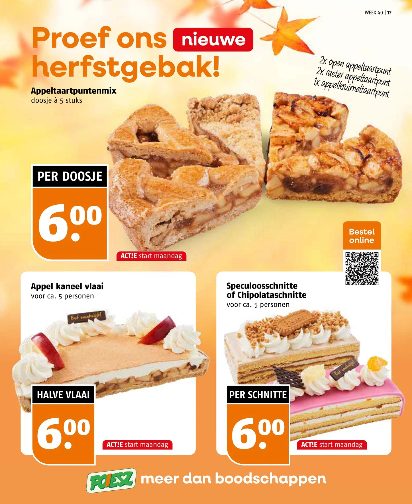 Flyer page 17
