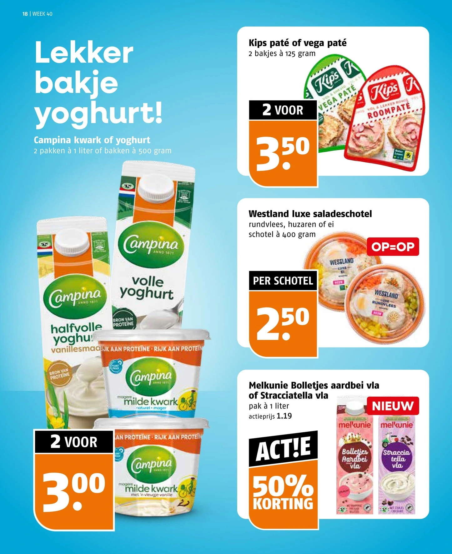 Flyer page 18
