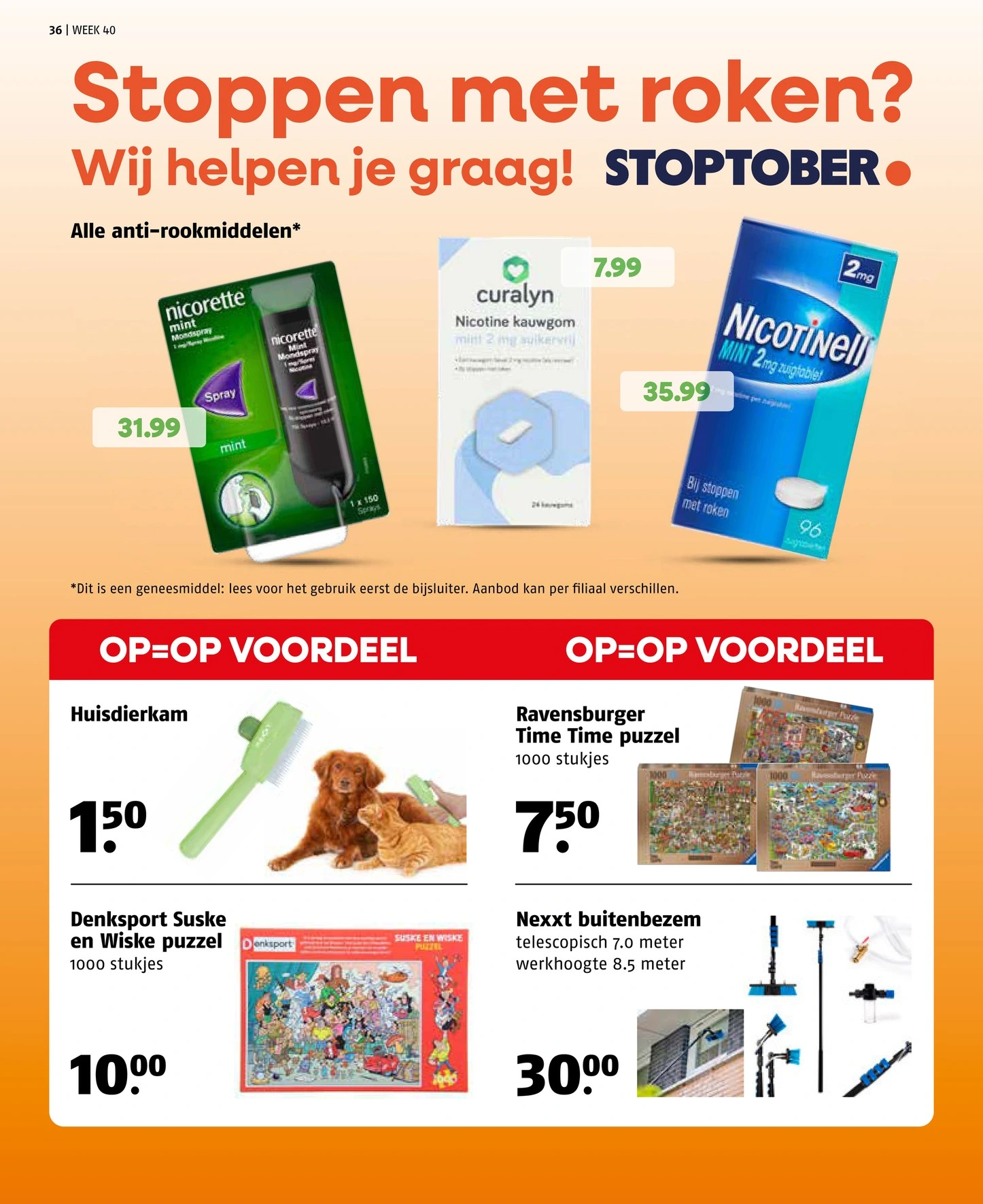 Flyer page 36