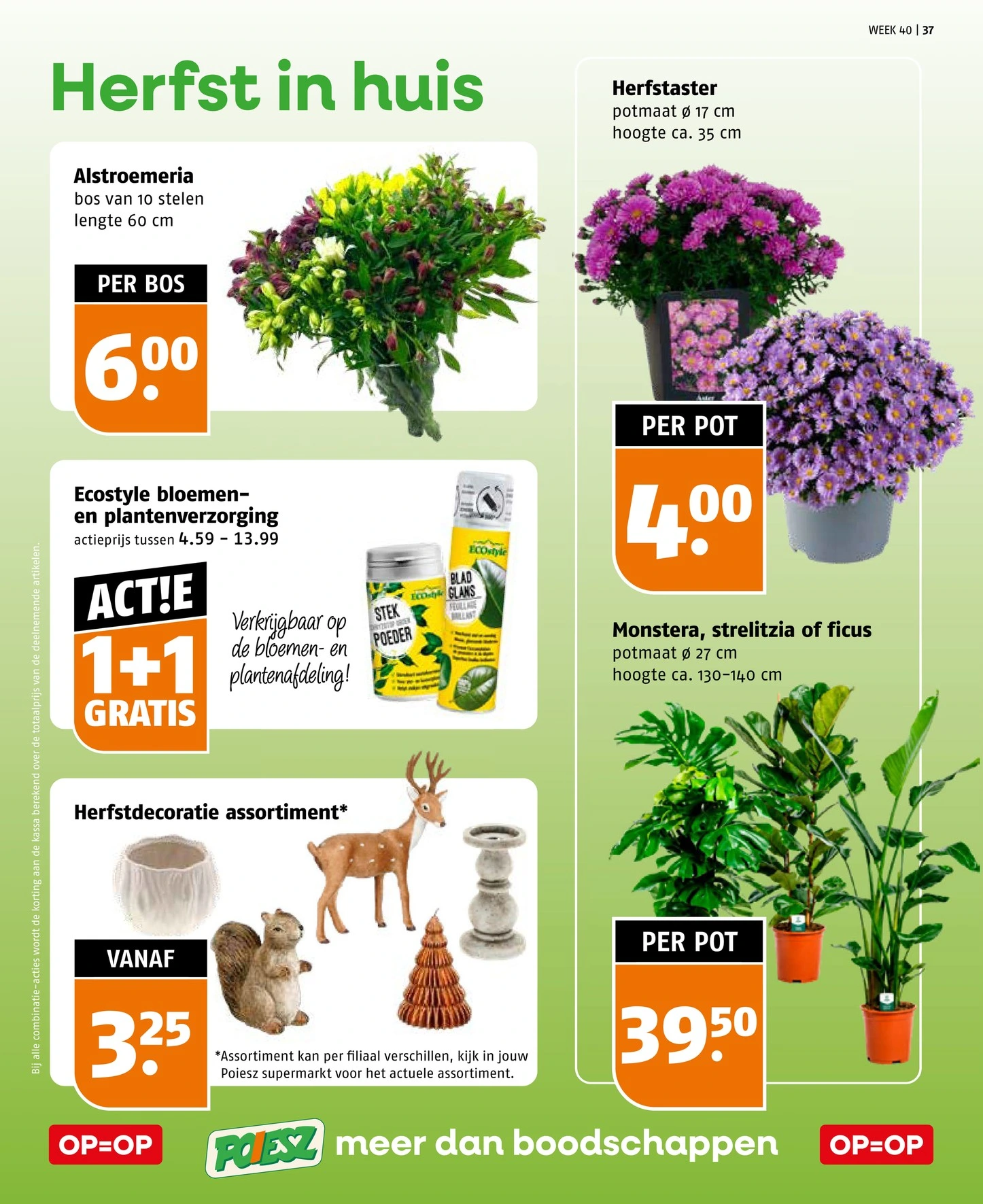 Flyer page 37