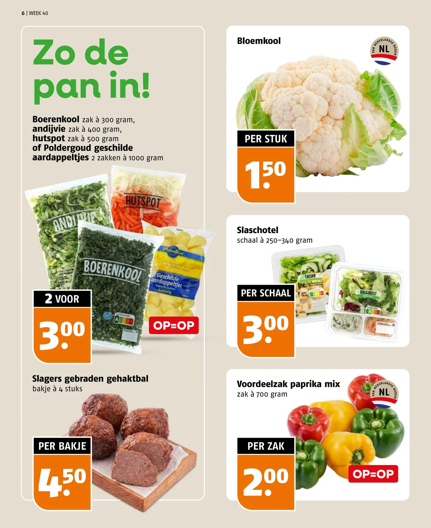 Flyer page 6