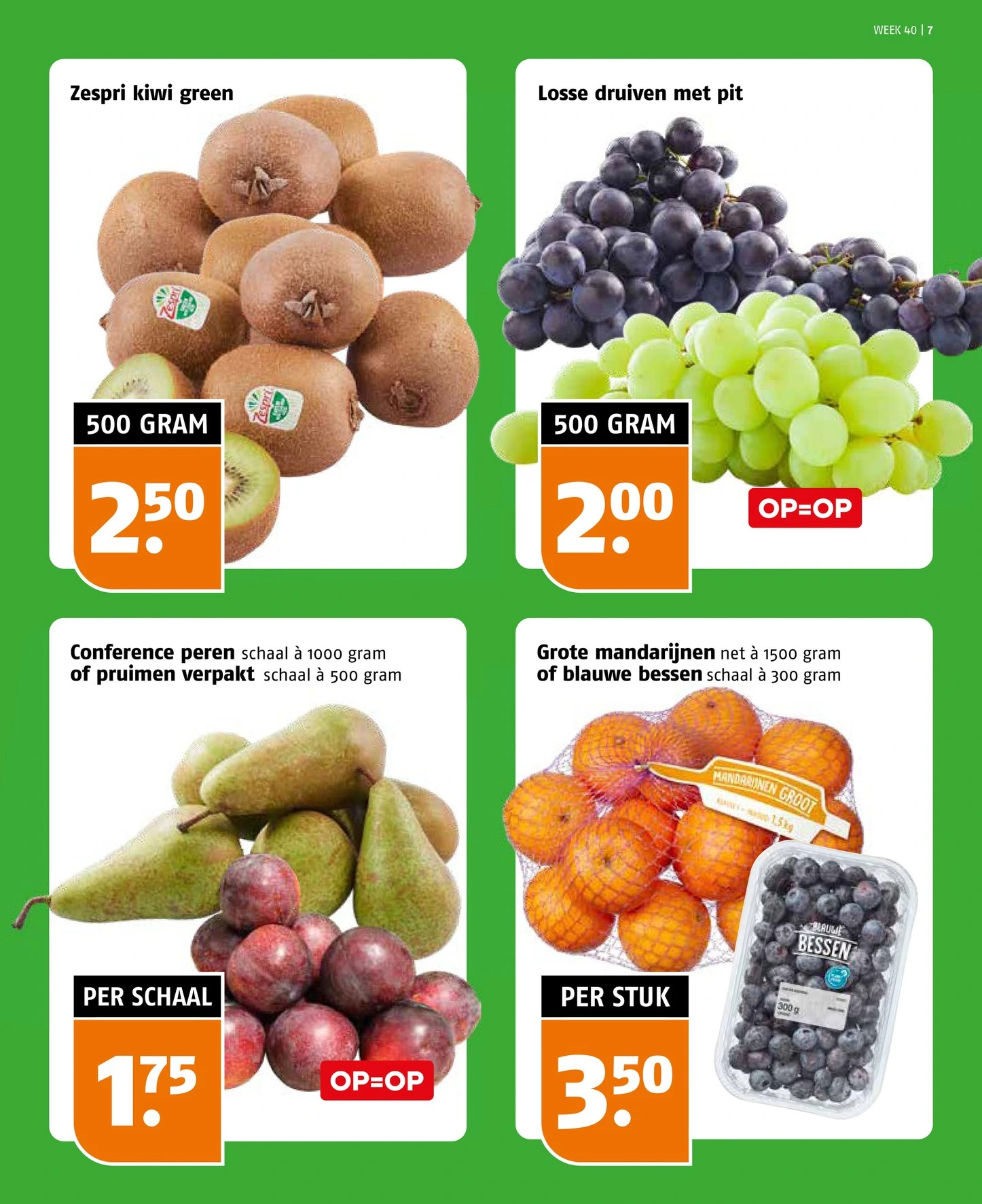 Flyer page 7
