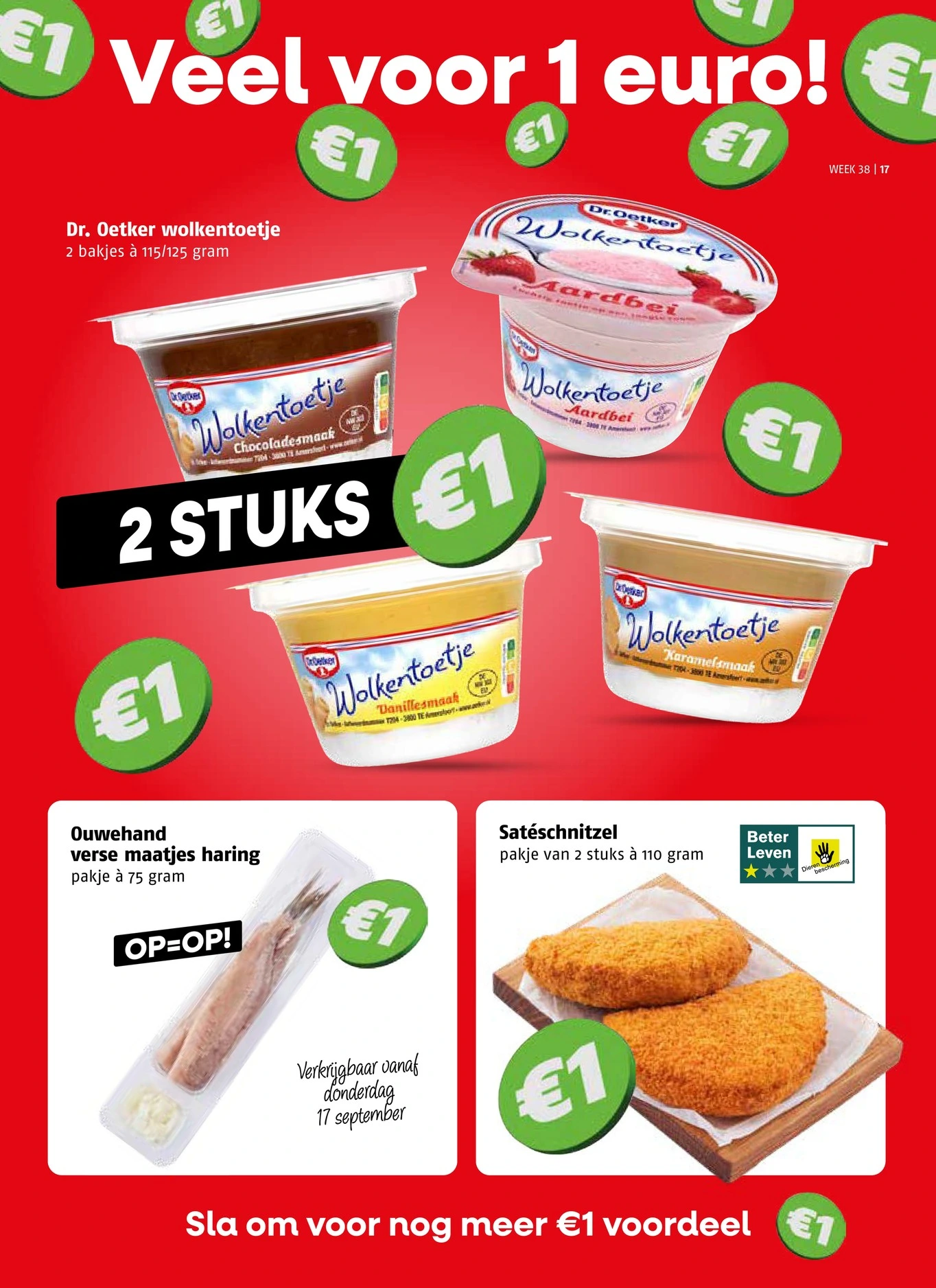 Flyer page 17