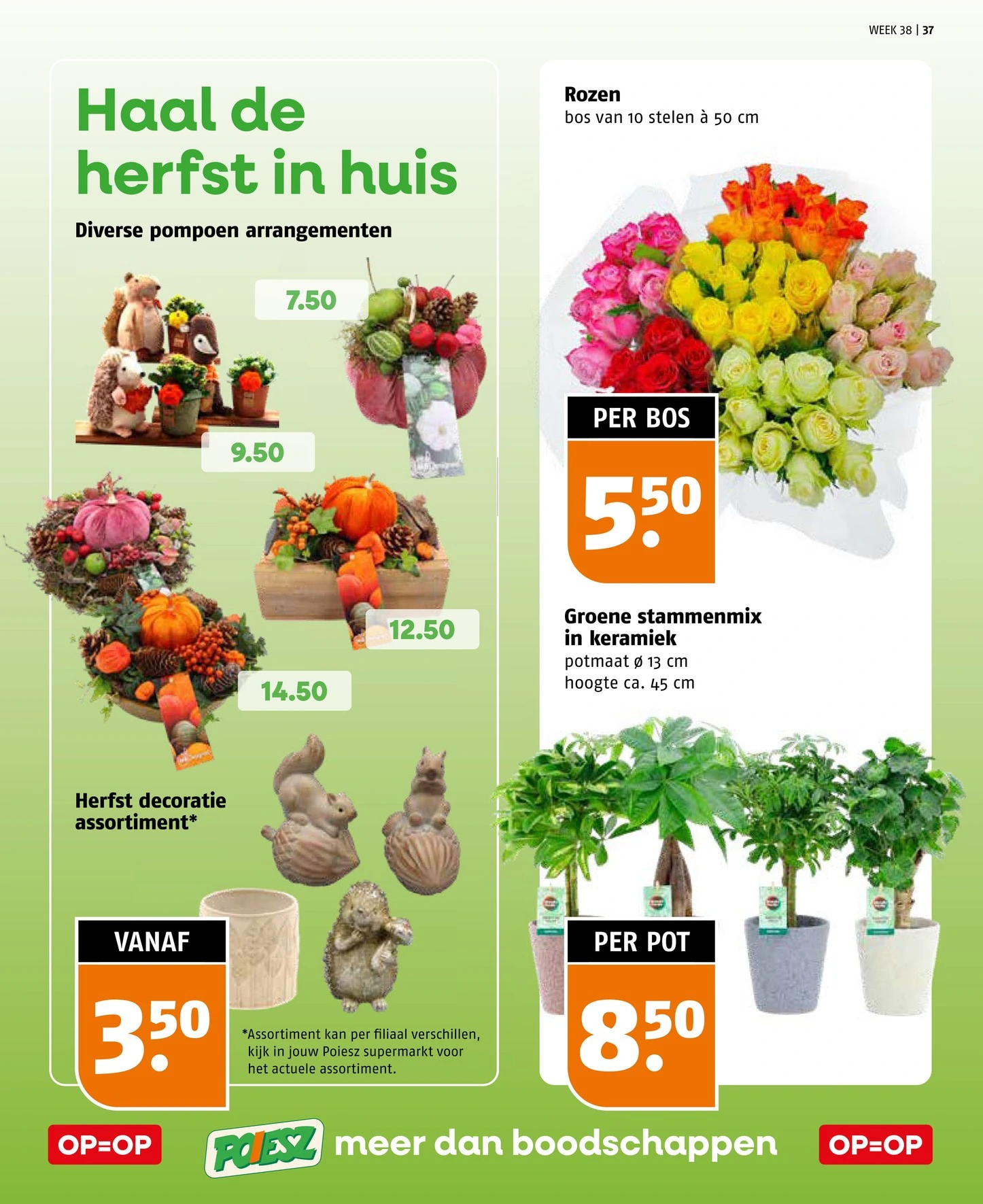 Flyer page 37