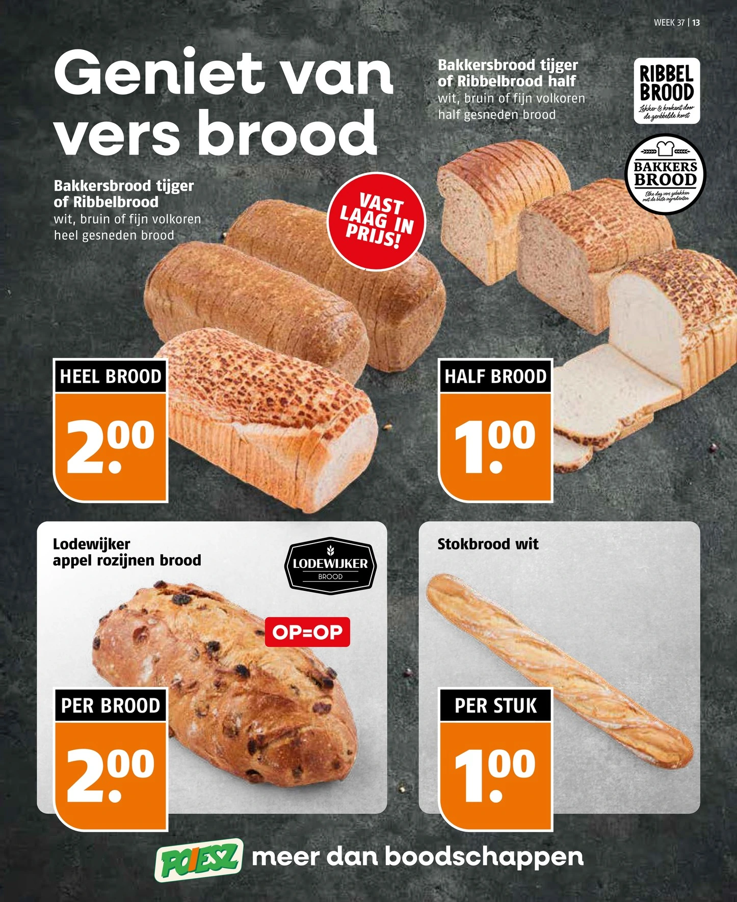 Flyer page 13