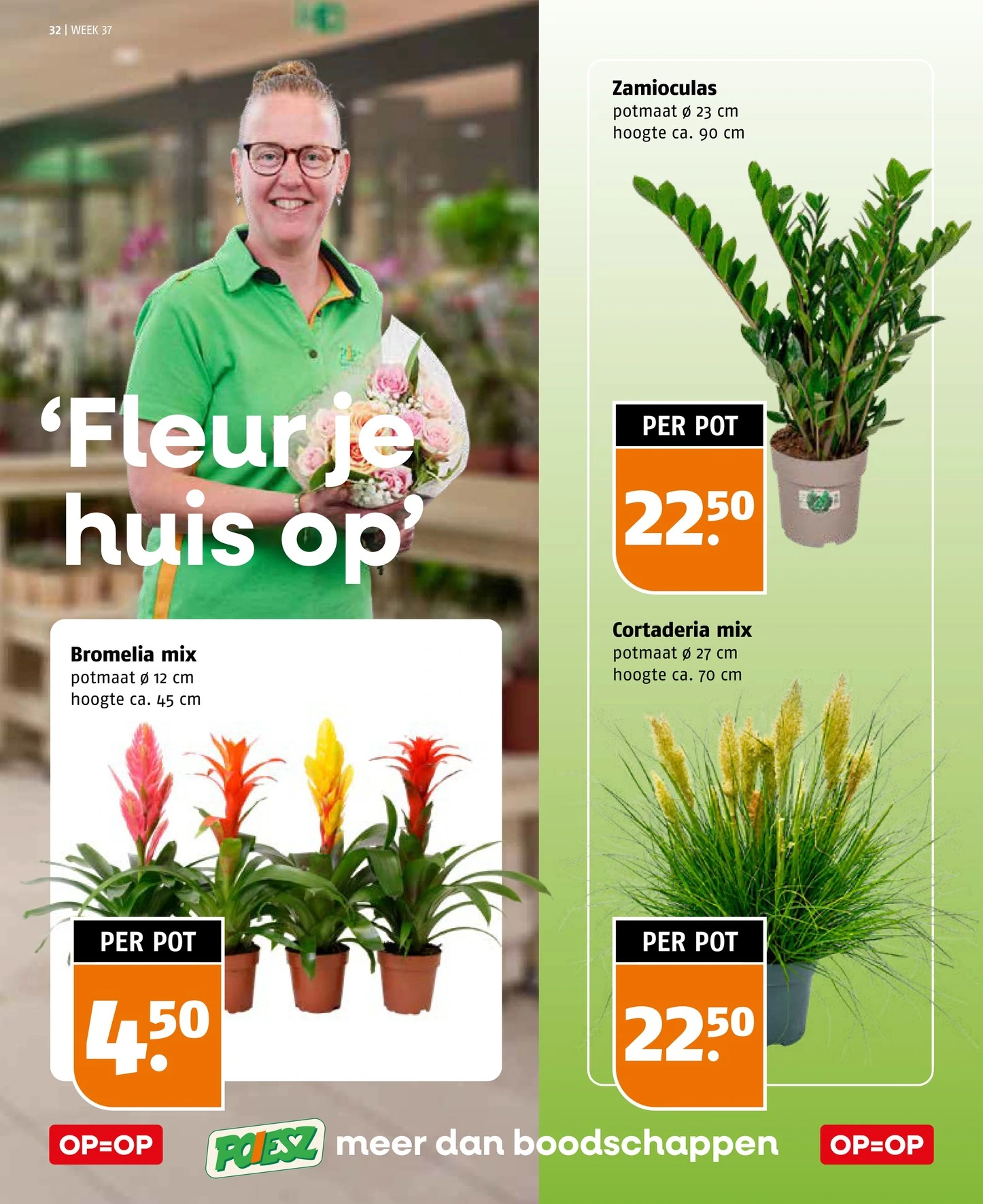 Flyer page 32