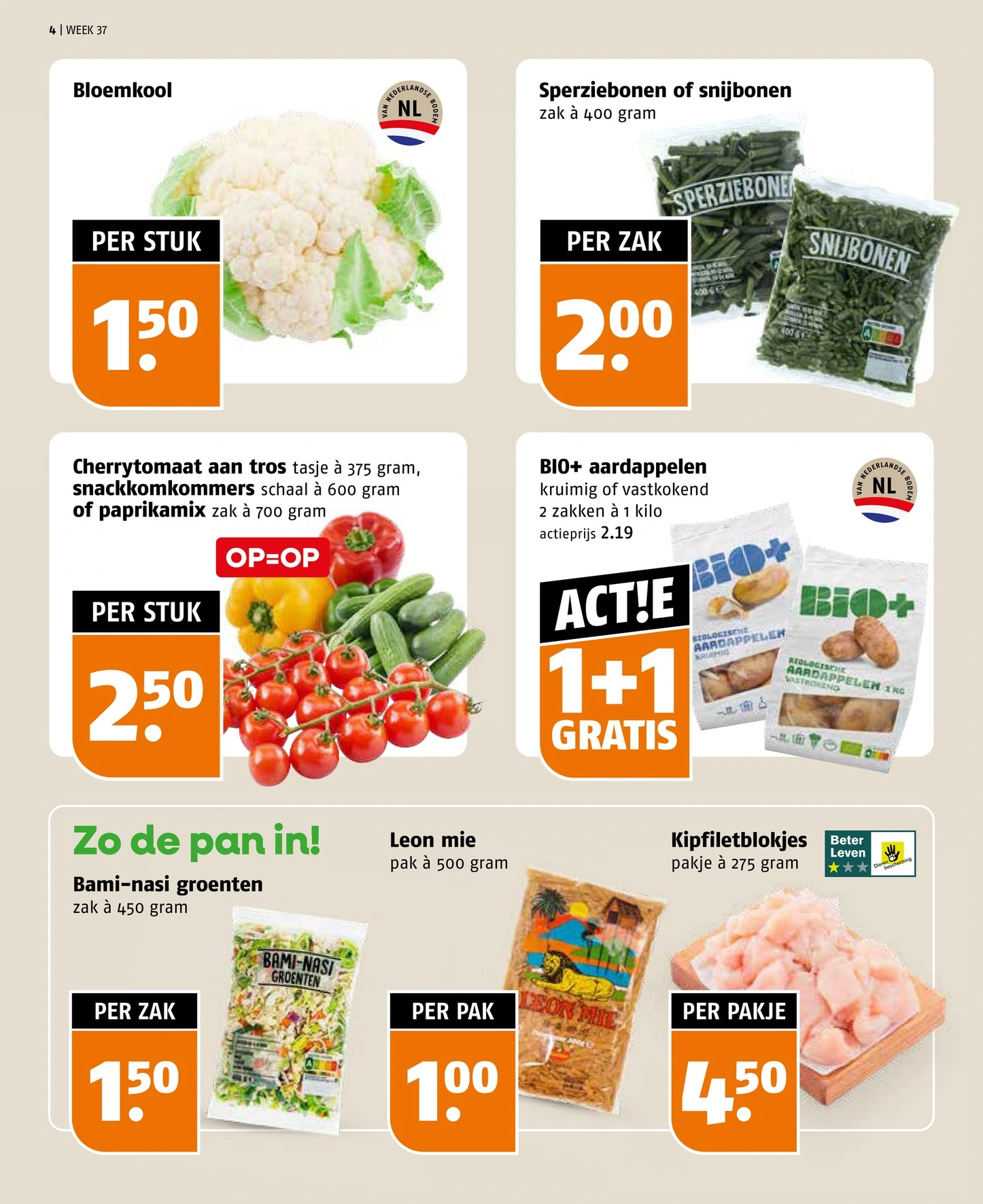Flyer page 4
